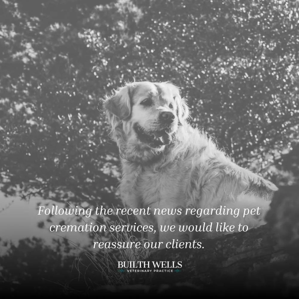 ⚠️ Important Notice to Our Clients ⚠️

We are aware of concerning reports currently circulating online regarding a pet cremation provider operating within the UK.

We understand how distressing this situation may be for pet owners. At such a sensitiv