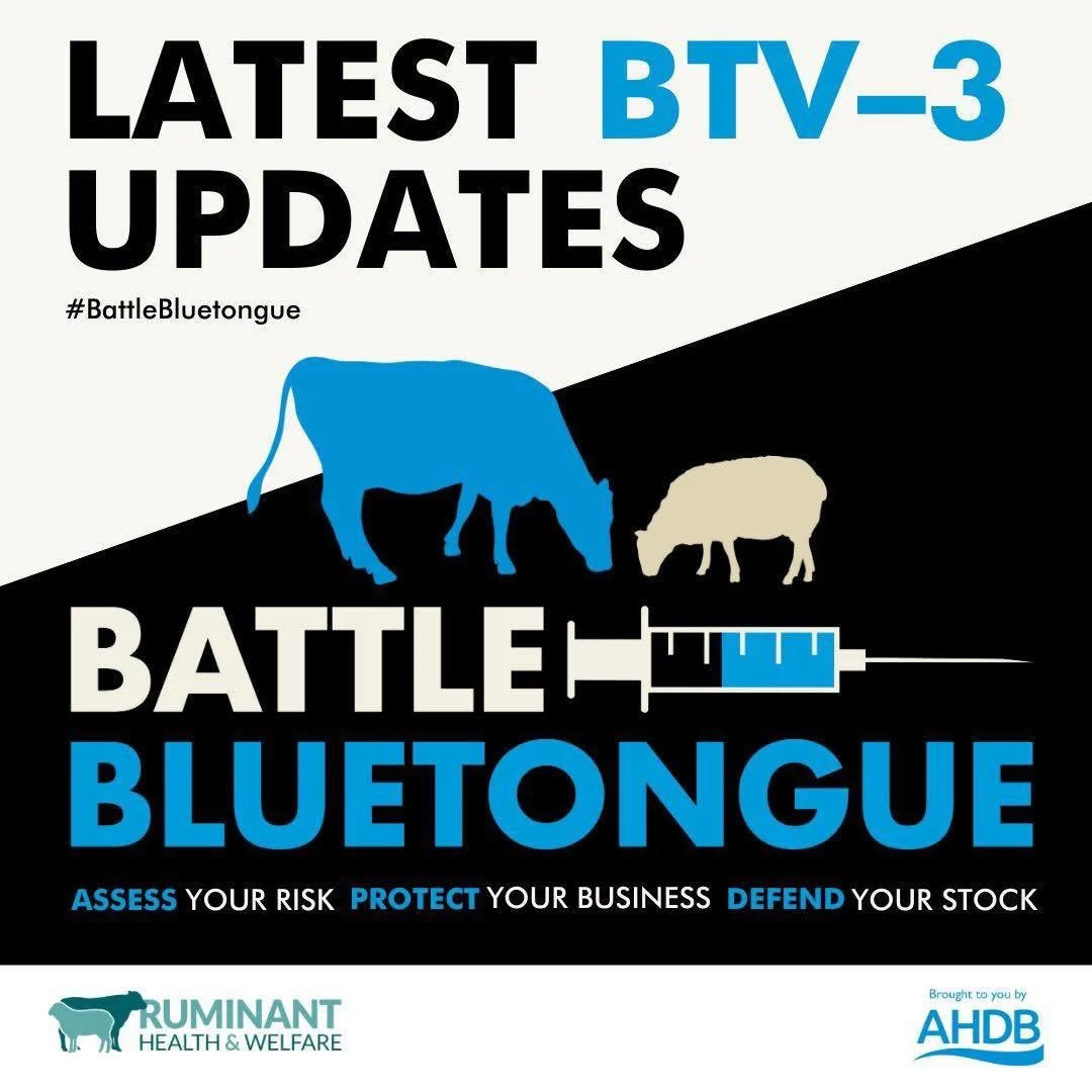 ❗️Get Bluetongue protected now❗️

The first clinical case of Bluetongue has been identified in Mid Wales and the South West has seen a large increase in cases over the last week. 

Additionally, the disease appears far more severe than seen in previo
