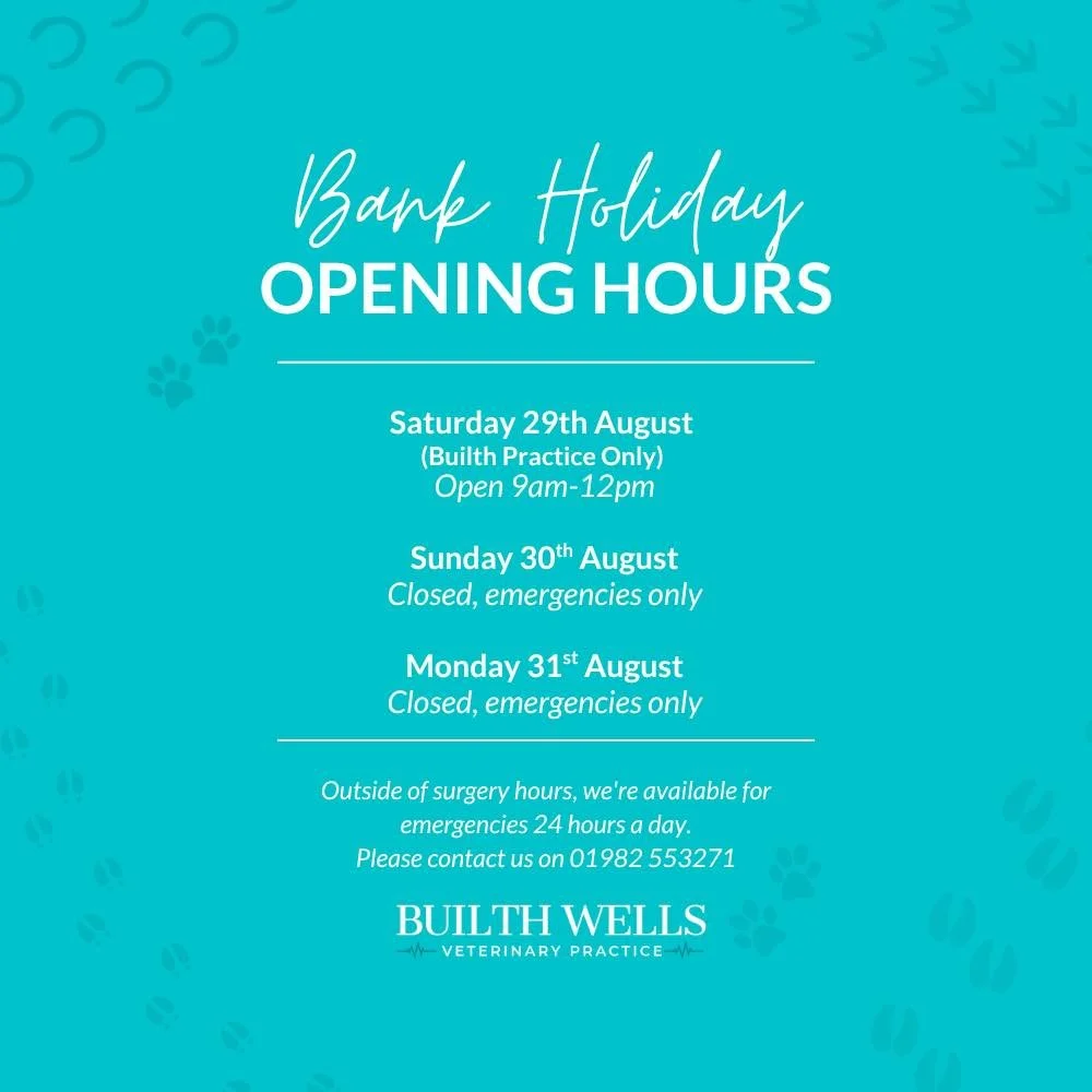 Our August Bank Holiday Opening Hours 🐶

For any out-of-hours emergencies, please call:
01982 553271

Please remember our Out of Hours service operates from our Builth practice.

#BuilthVets #BankHoliday #AugustBankHoliday
#OpeningHours