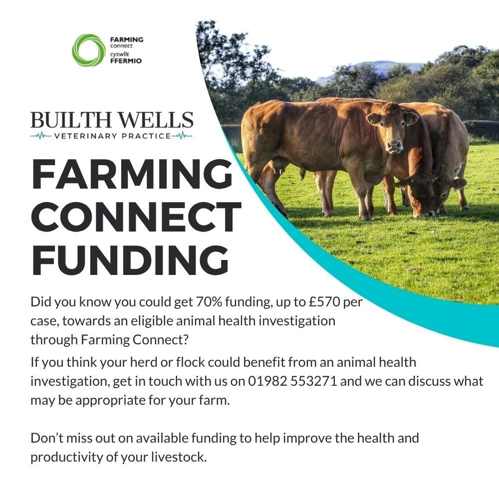 Farming Connect Funding 🐄

Did you know you could get 70% funding, up to &pound;570 per case, towards an eligible animal health investigation through Farming Connect?

This can be a great opportunity to investigate ongoing health or performance issu