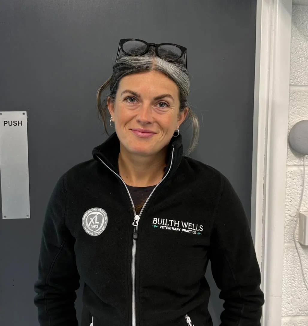 🎉 New Member of The Team!🎉

Introducing Amelia, who has joined our team at Builth Vets as an Equine Veterinary Specialist!

Amelia graduated from the University of Veterinary Medicine, Budapest, in 2016 and began her career in mixed practice on the