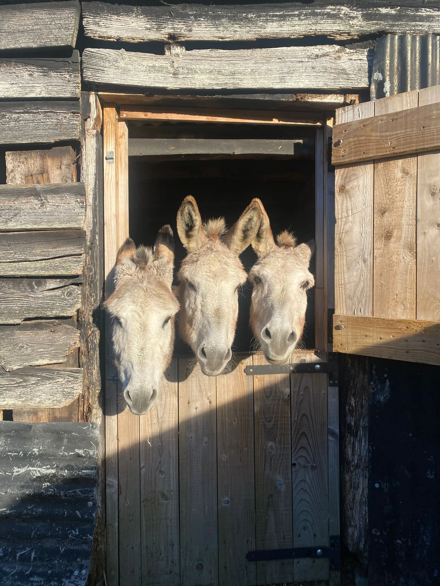 82d16b89-07f9-44d0-aa6d-85d96e7100de (1).jpg