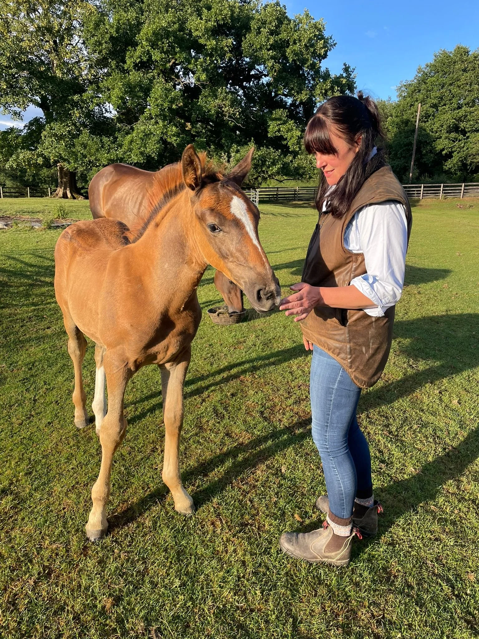 cabc9683-caf6-45b2-84b1-7be55806231d (1).jpg