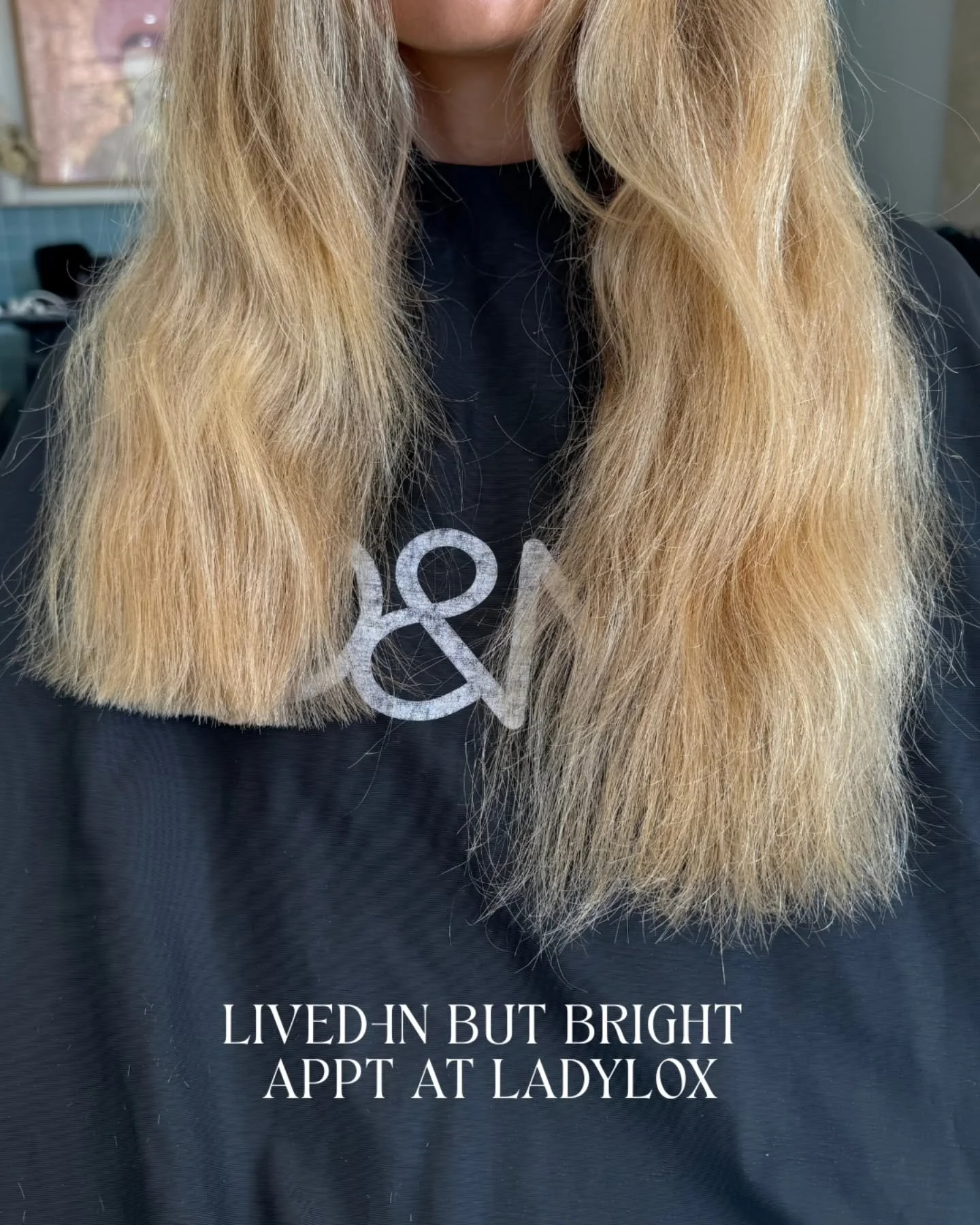 An appointment at Lady Lox just hits different ☁️

fresh hair and an instant confidence boost is our type of appointment

Taking our beautiful client from foils to the root to a more lived-approach without feeling to dark and keeping the face frame b