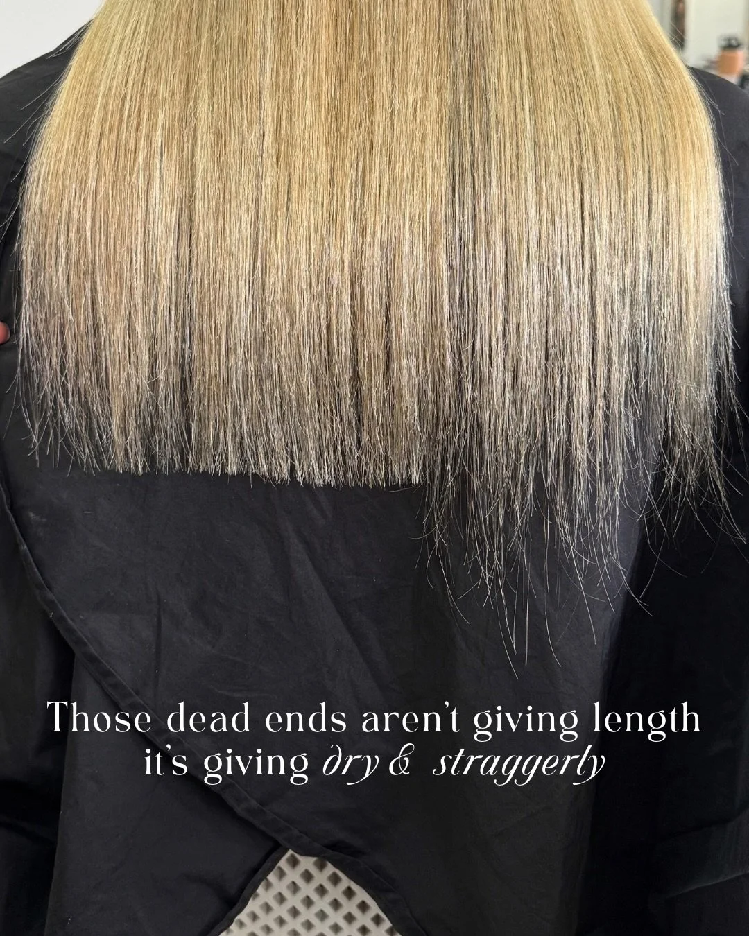 Dead ends ❌&nbsp;

We promise we don&rsquo;t take off more than whats necessary

We also promise you&rsquo;ll be obsessed with how your hair looks and feels after (even if it is a tiny bit shorter) 

&amp; yes leaving your dead ends does effect hair 