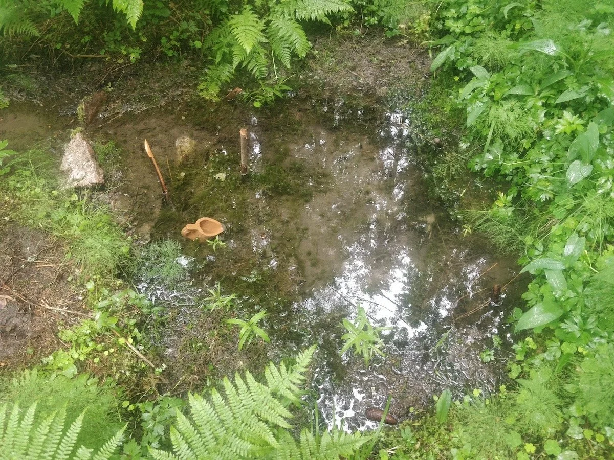 Forest Spring Affair by Eero Yli-Vakkuri