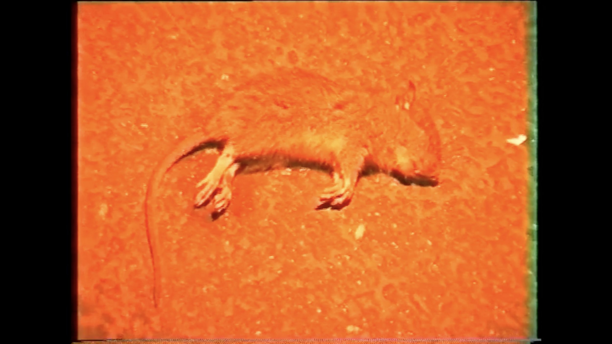 Screenshot 2022-02-17 at 21.06.51.png