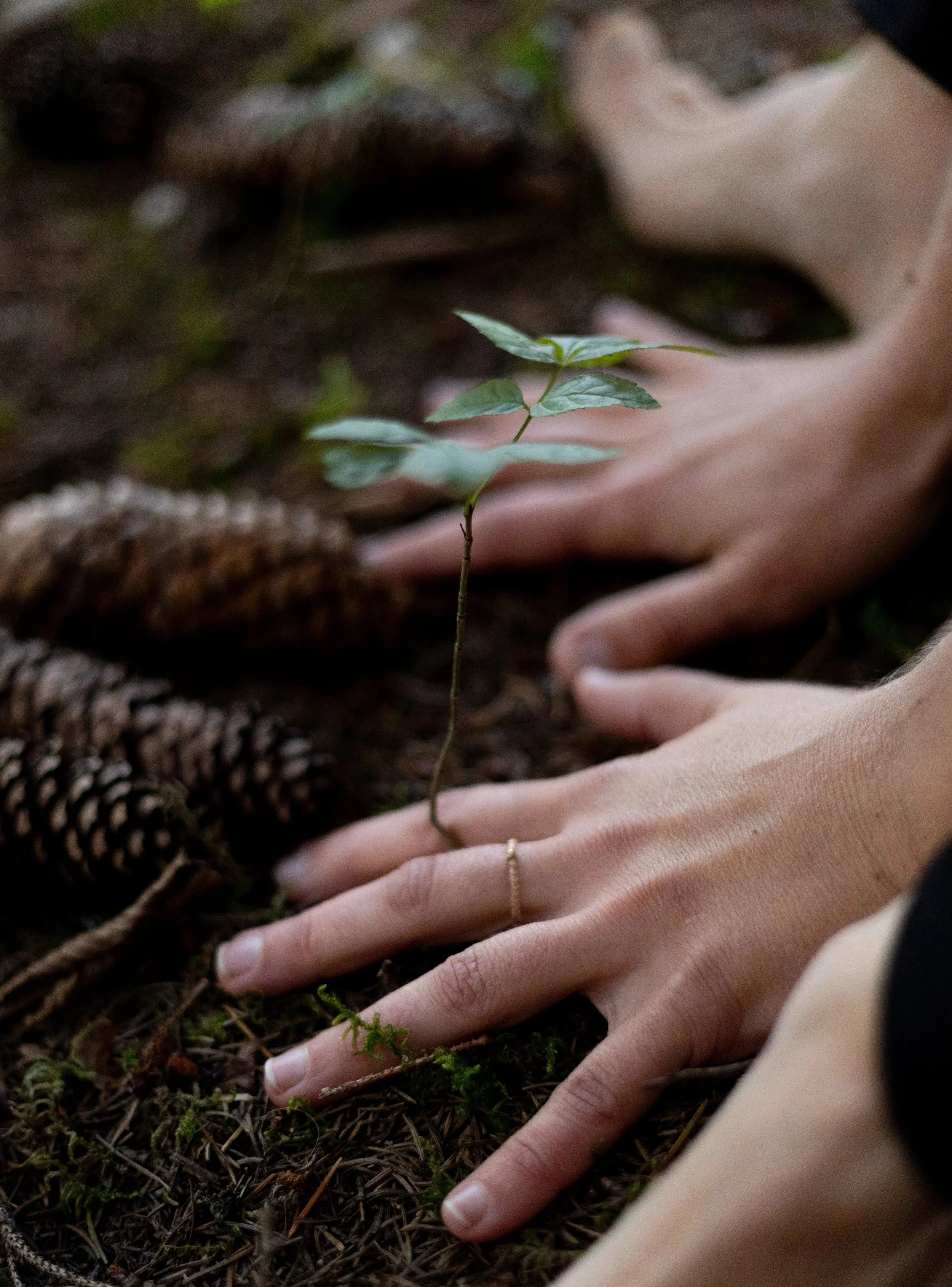 Reconnect with Resource with Movement Medicine