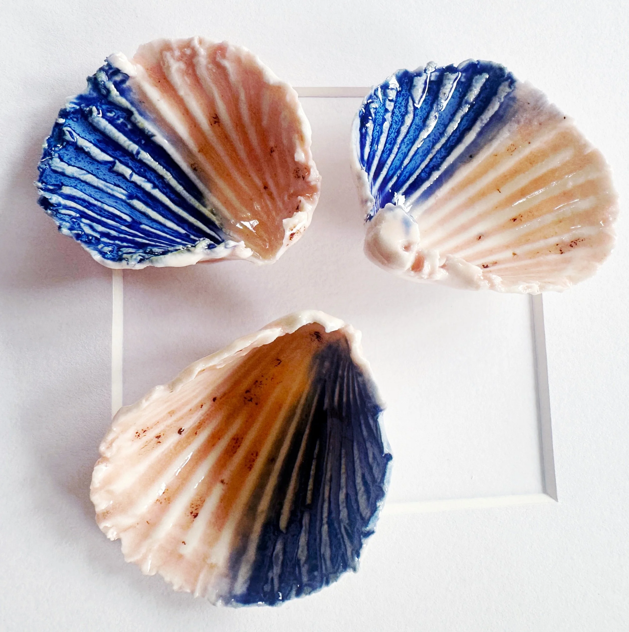 Handcrafted Beach Art – Framed Porcelain Shell Art | Coastal Wall Art | Elegant Coastal Decor