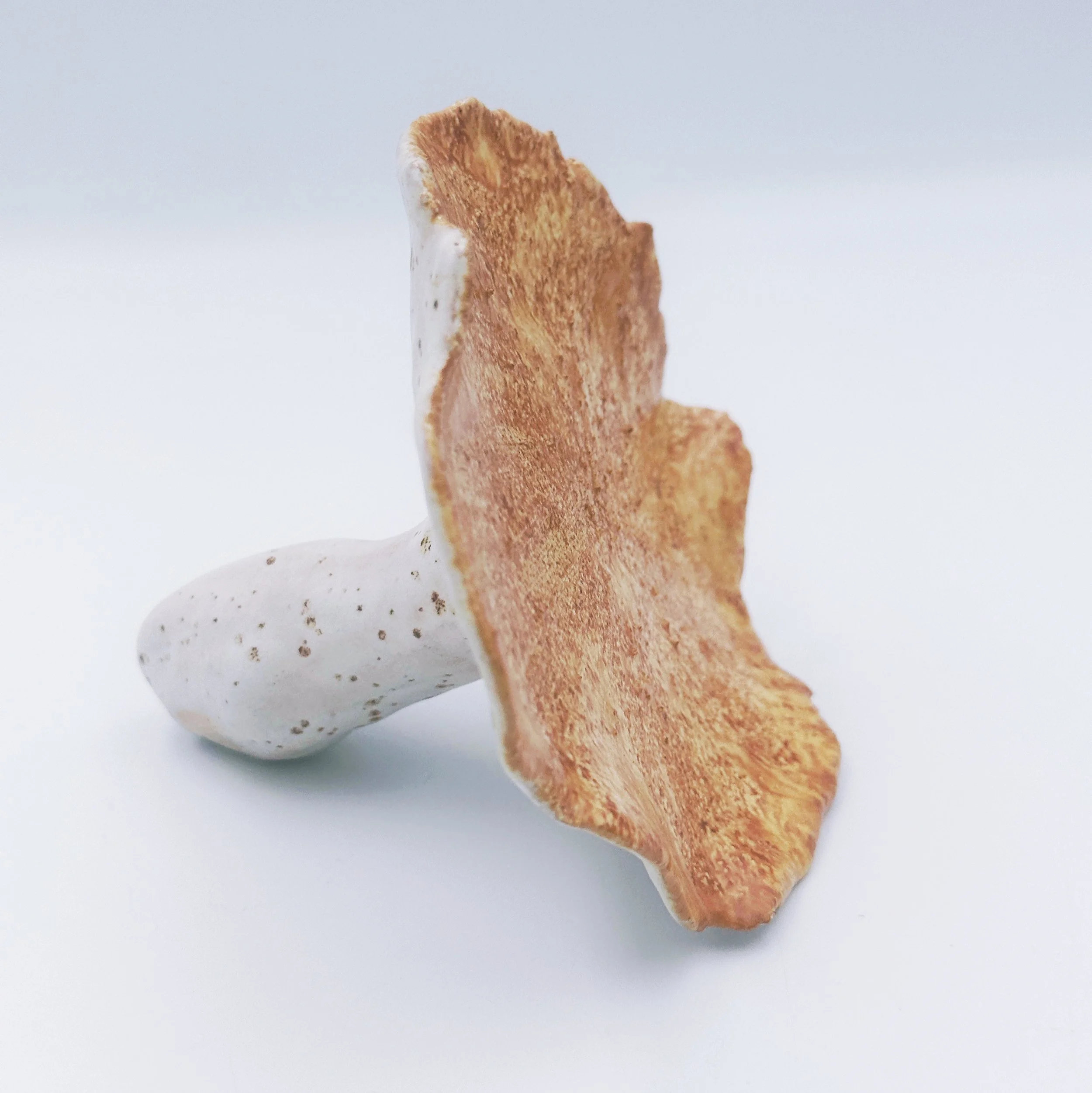 ceramic oyster mushroom