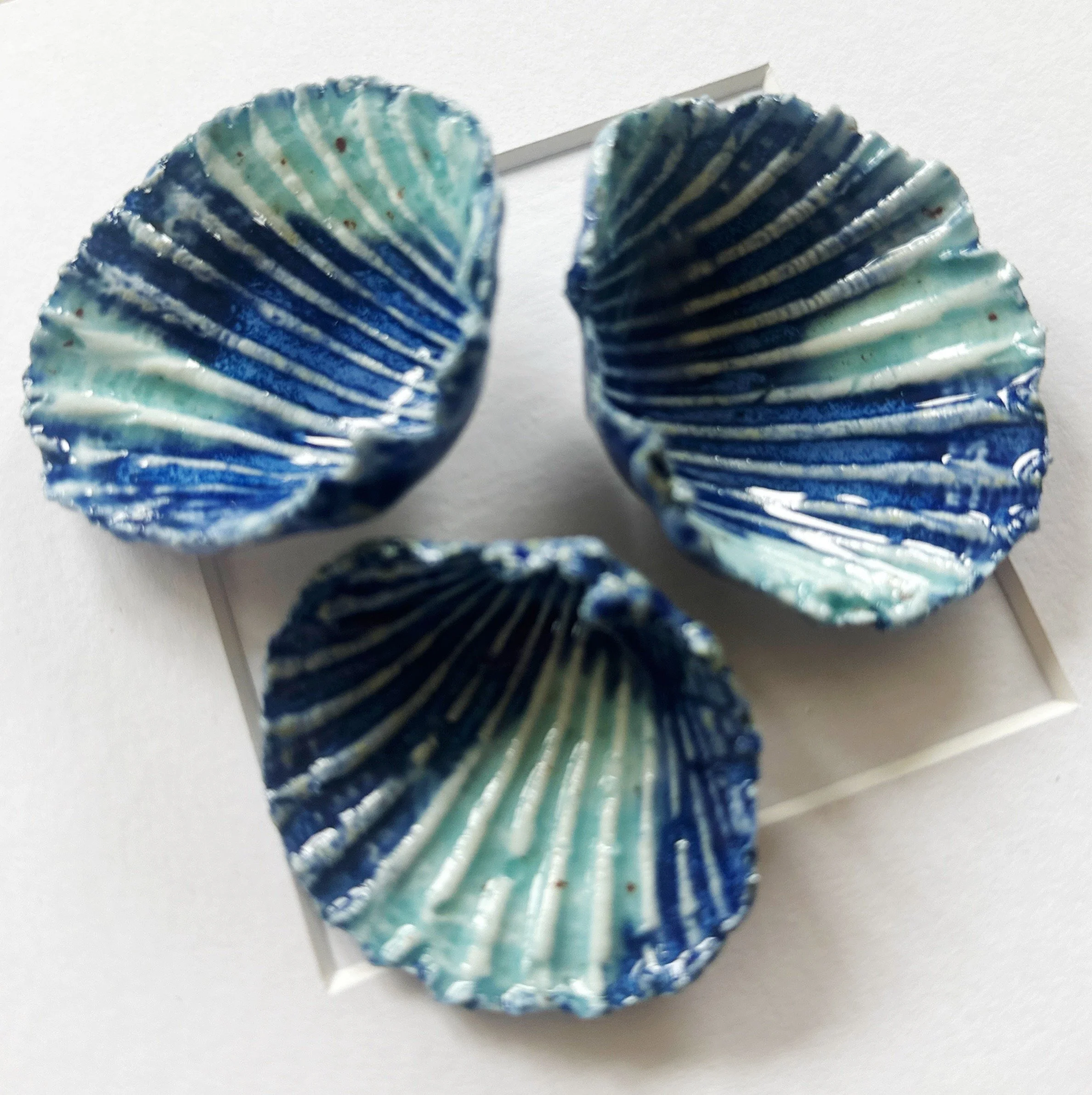 beach art, coastal wall art, shell wall art