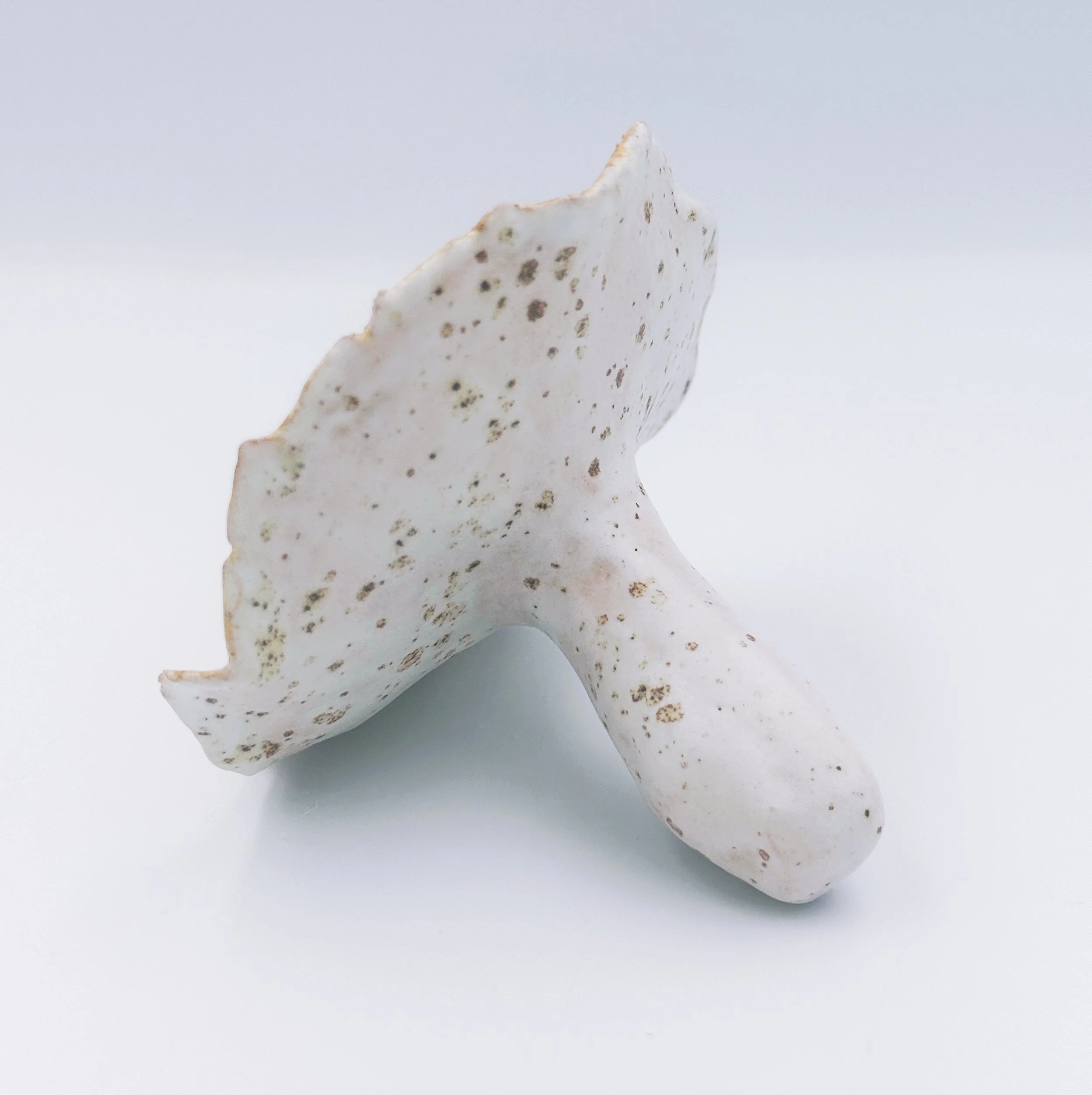 handmade ceramic mushrooms