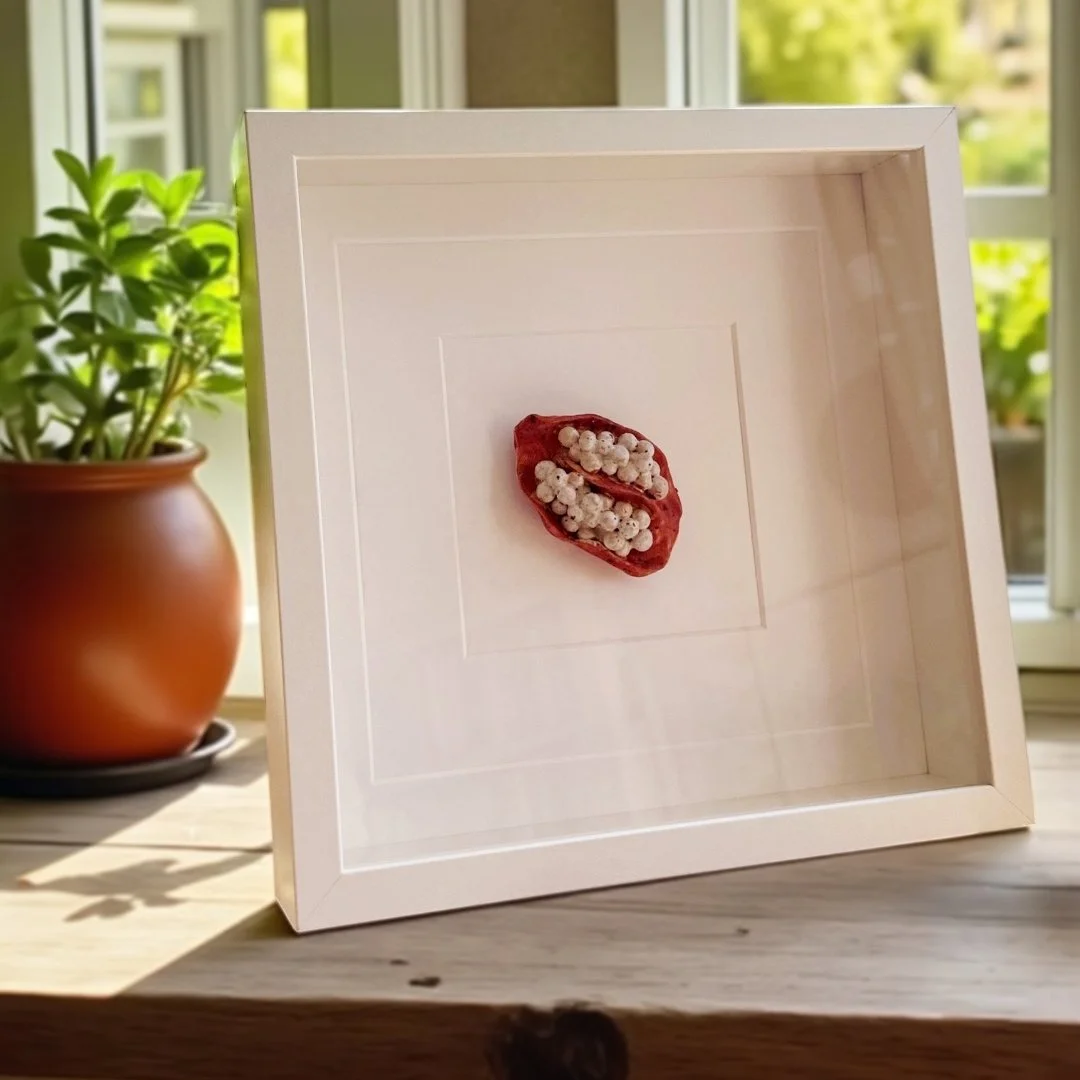 ceramic kitchen wall art - pomegranate 1.jpg