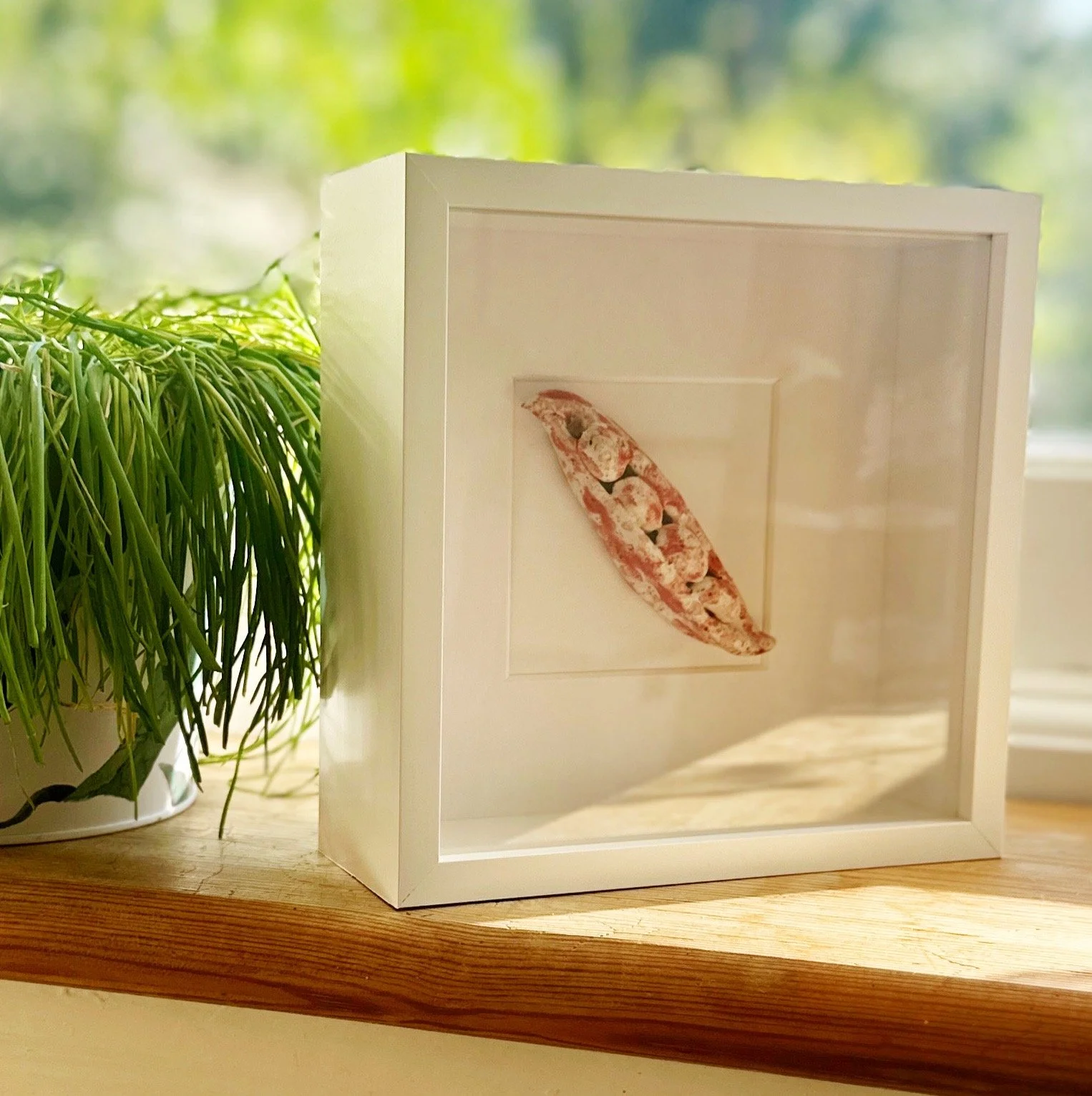 Ceramic borlotti bean pod. Food artwork. Handmade ceramic vegetables for kitchen wall art.