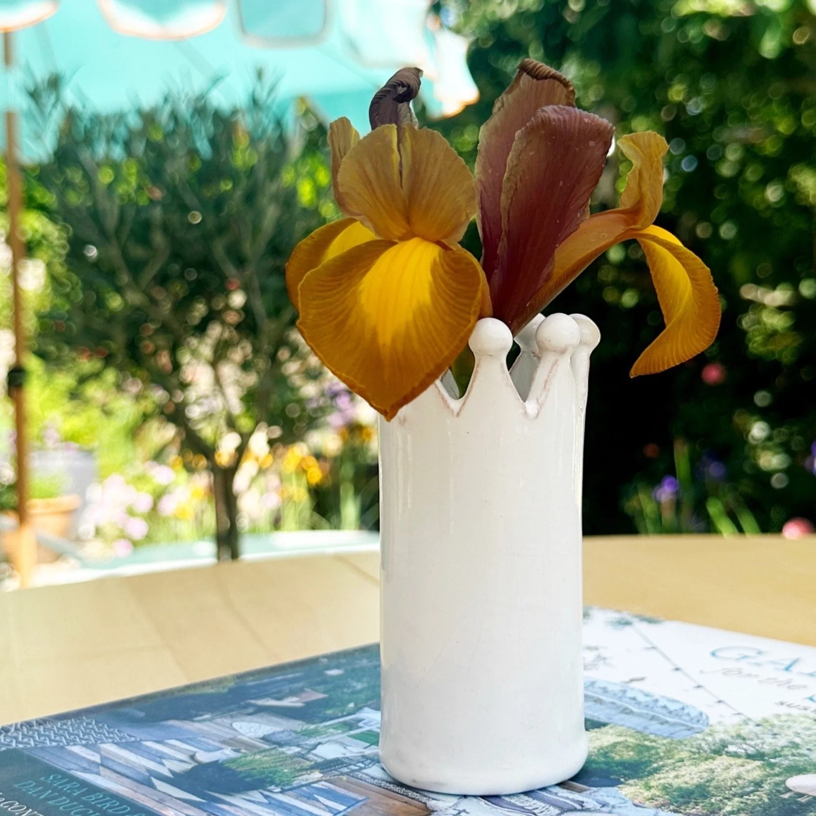 single stem bud vase - regal posy - iris