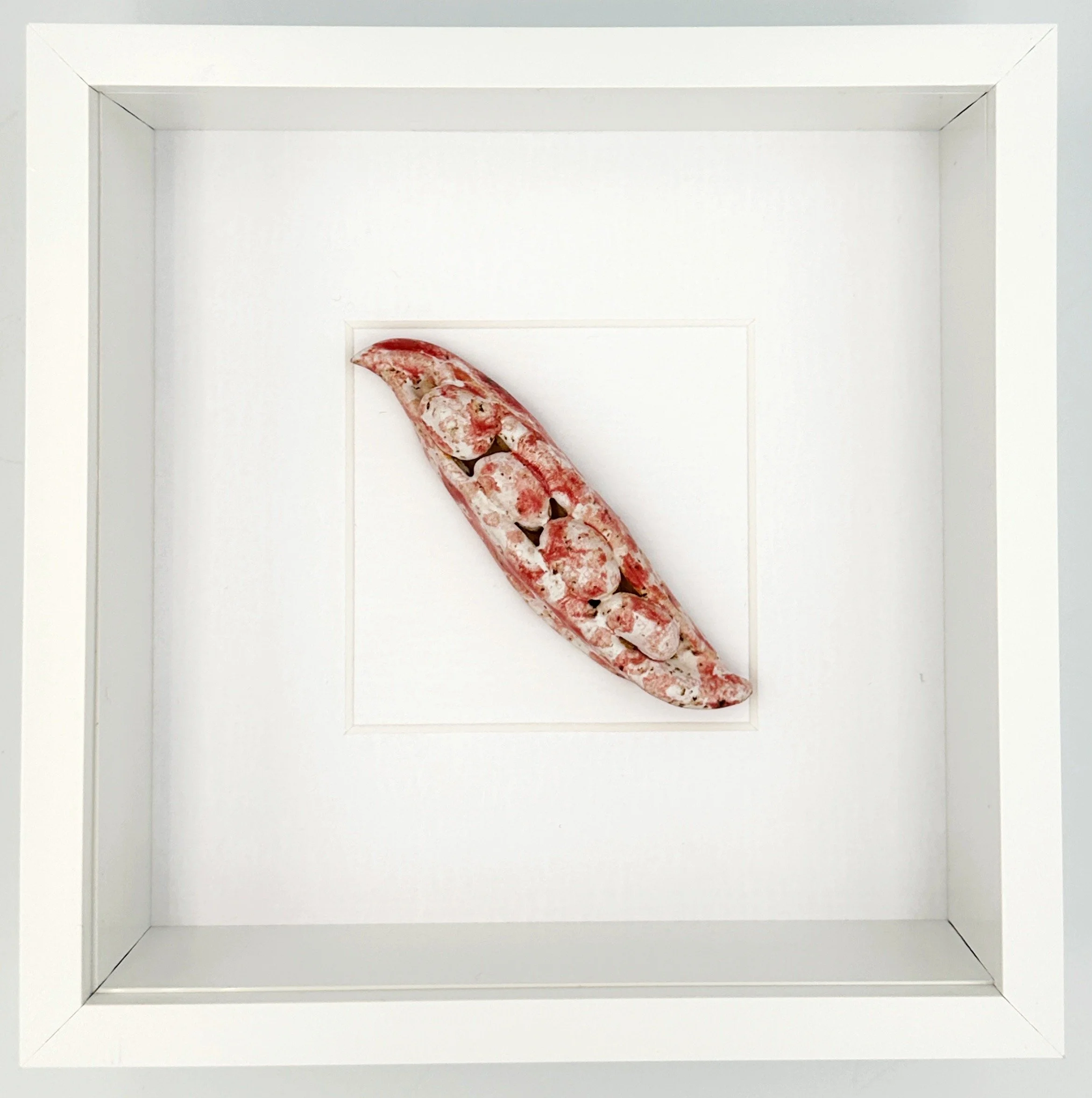 Ceramic borlotti bean pod. Food artwork. Handmade ceramic vegetables for kitchen wall art.