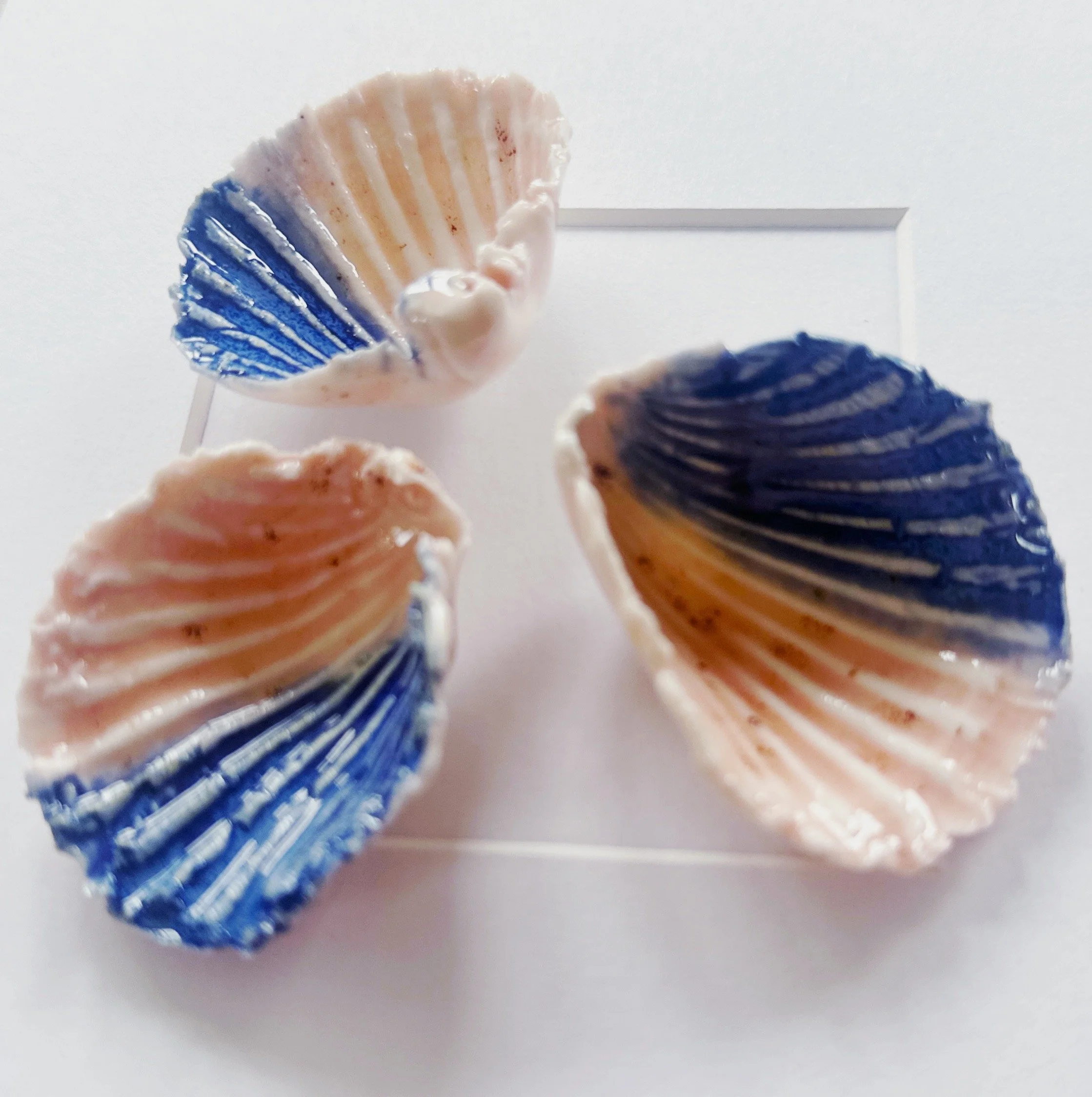 Handcrafted Beach Art – Framed Porcelain Shell Art | Coastal Wall Art | Elegant Coastal Decor