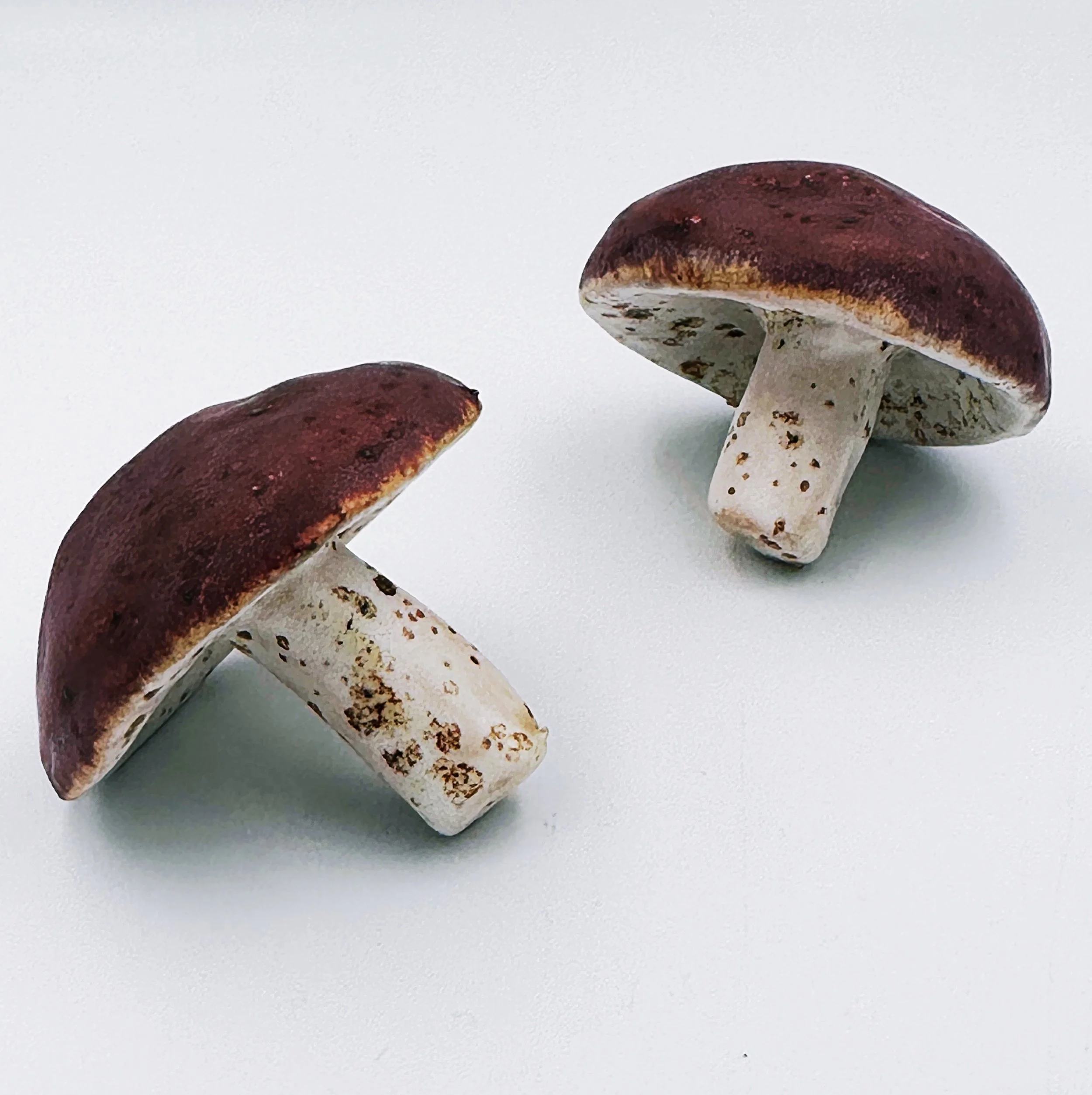 handmade ceramic mushrooms