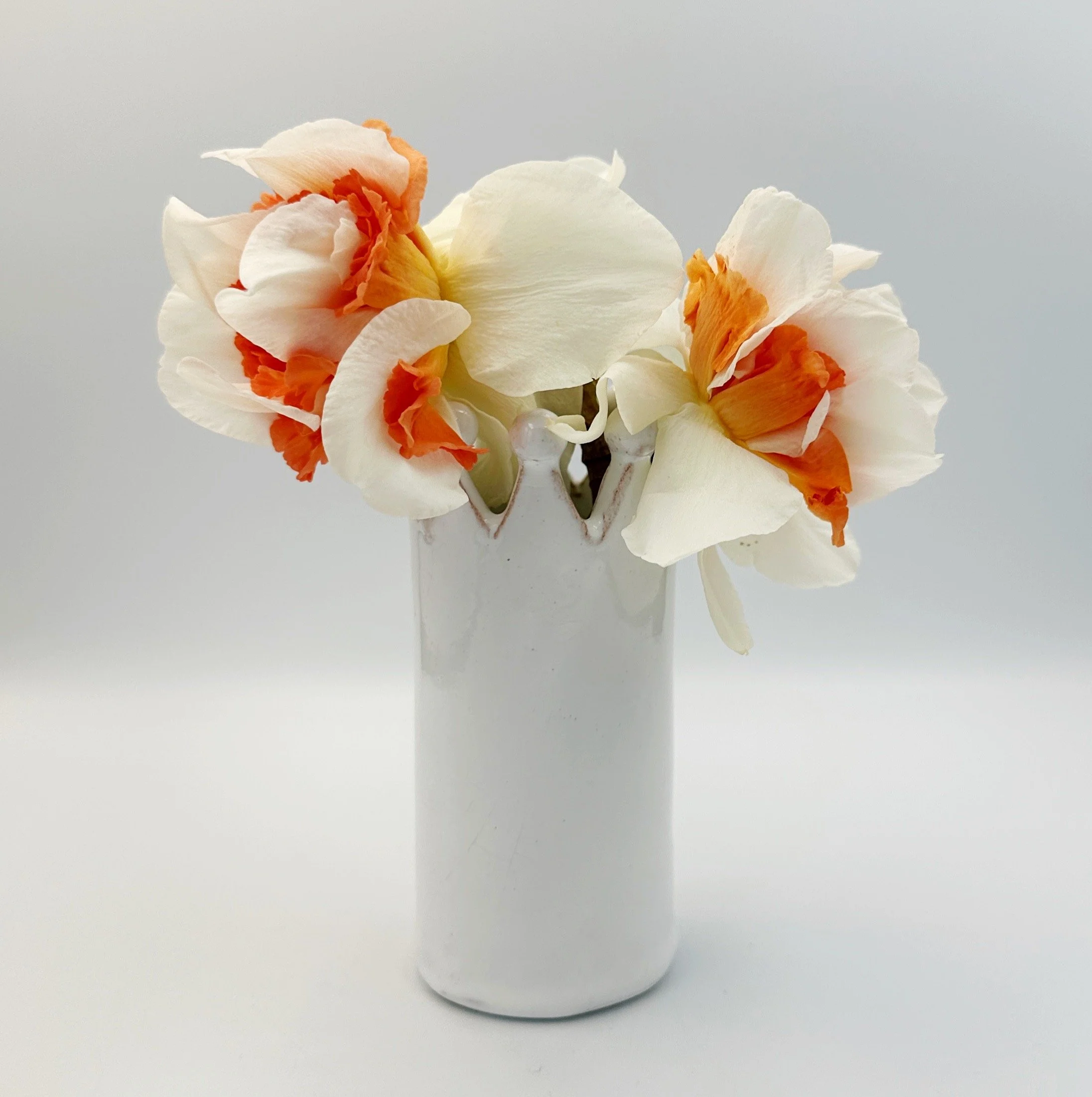 single stem bud vase - regal posy