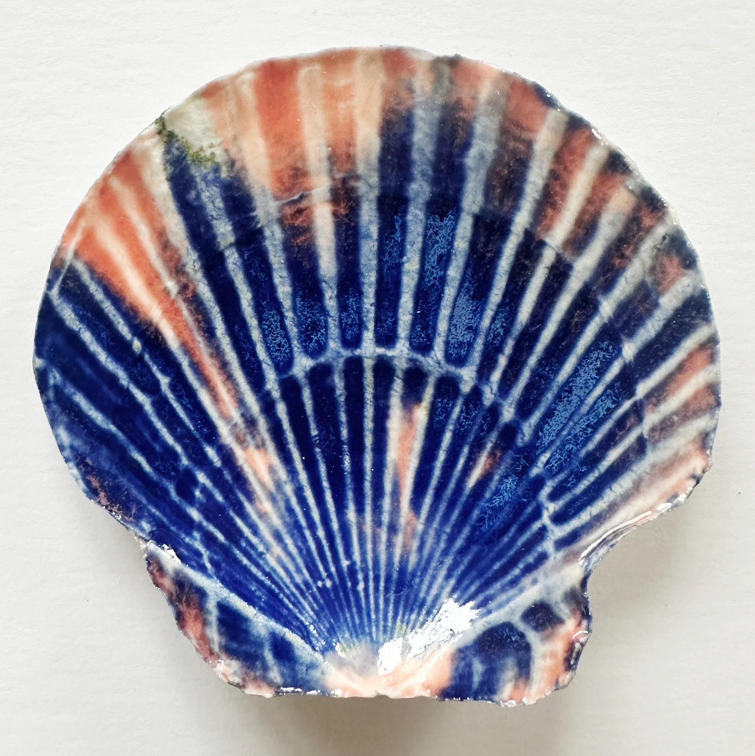 Framed Porcelain Shell Art – Handcrafted Beach Art for Elegant Coastal Wall Decor
