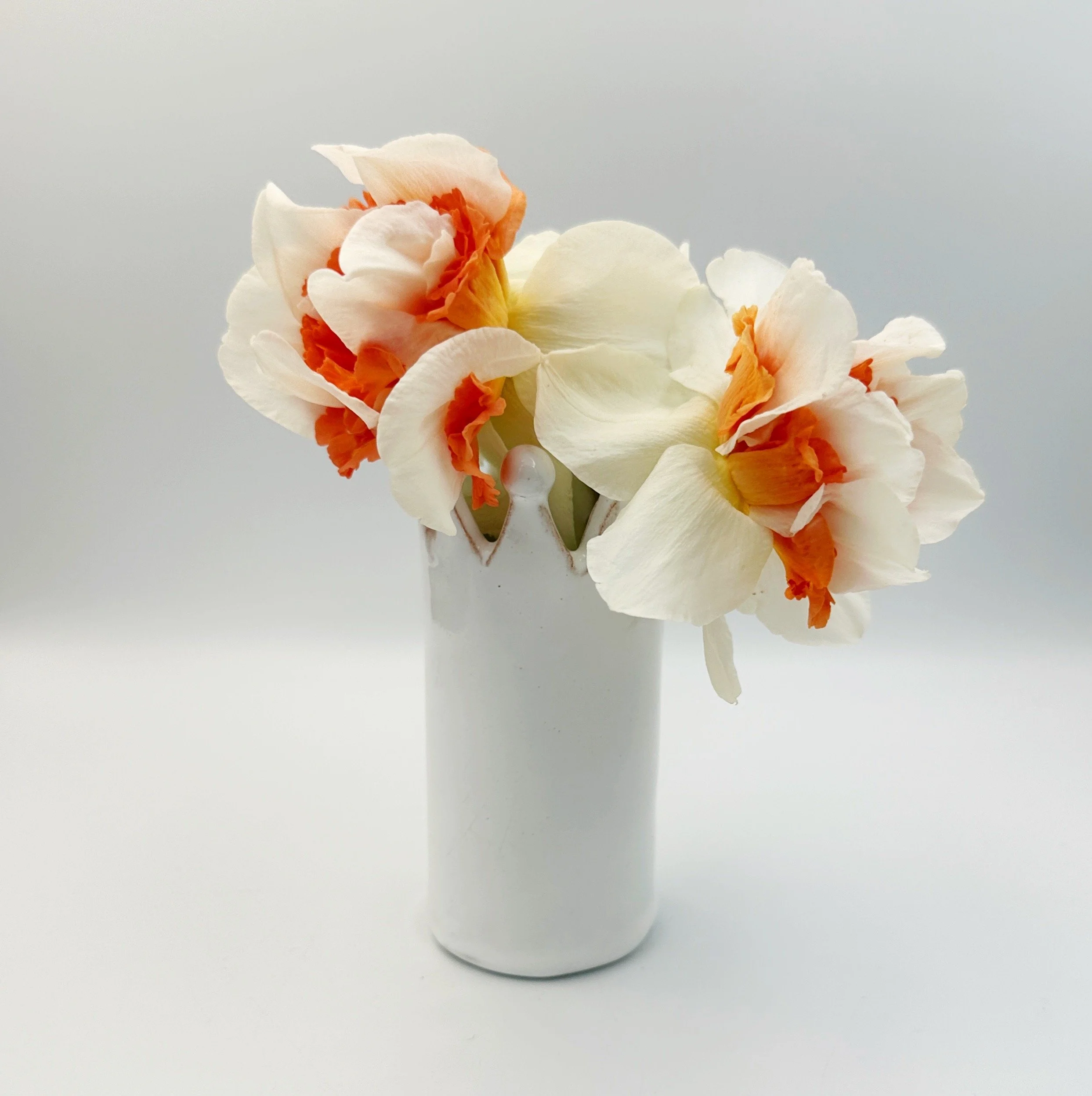 small single stem bud vase - regal posy