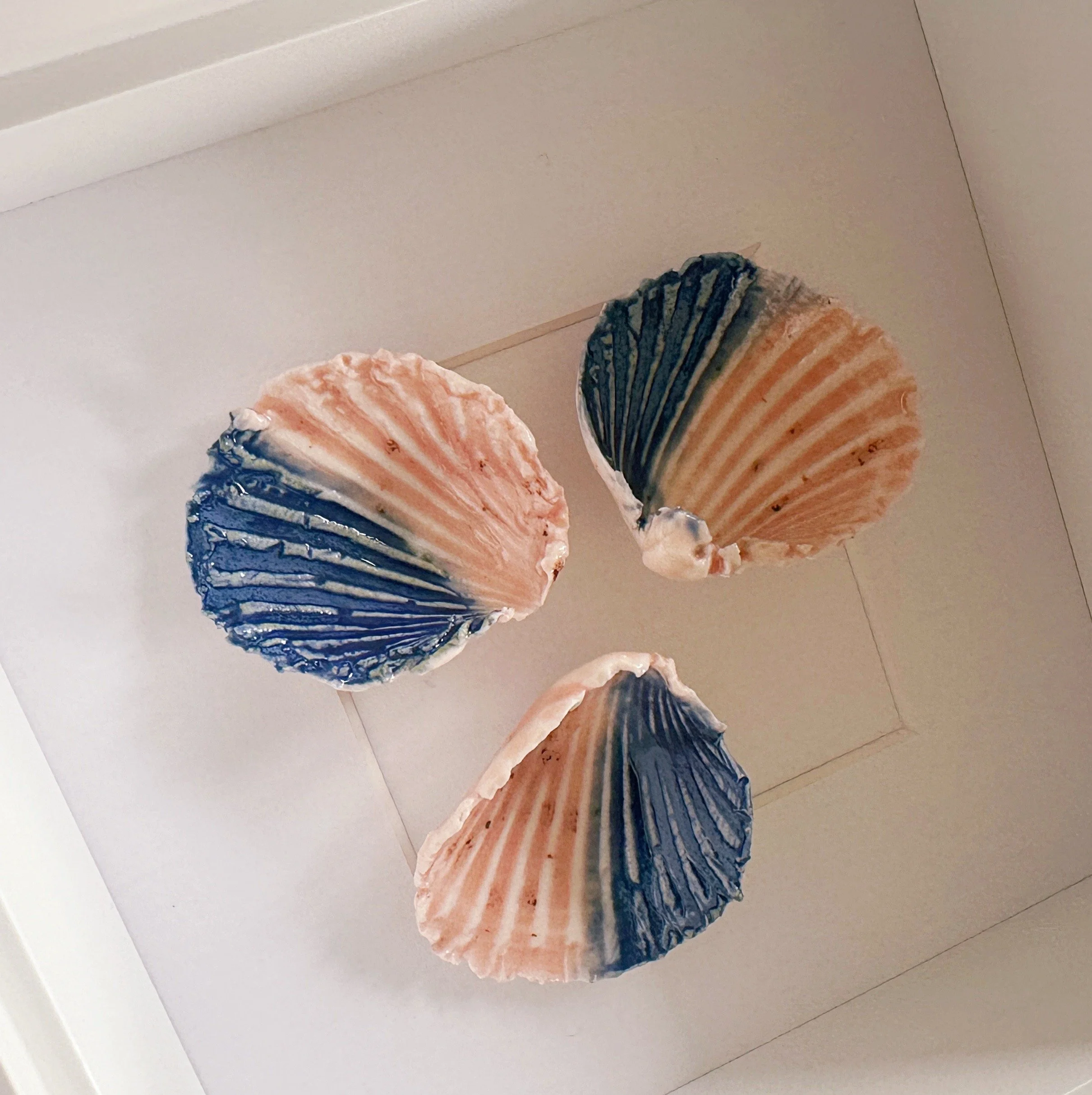 Handcrafted Beach Art – Framed Porcelain Shell Art | Coastal Wall Art | Elegant Coastal Decor