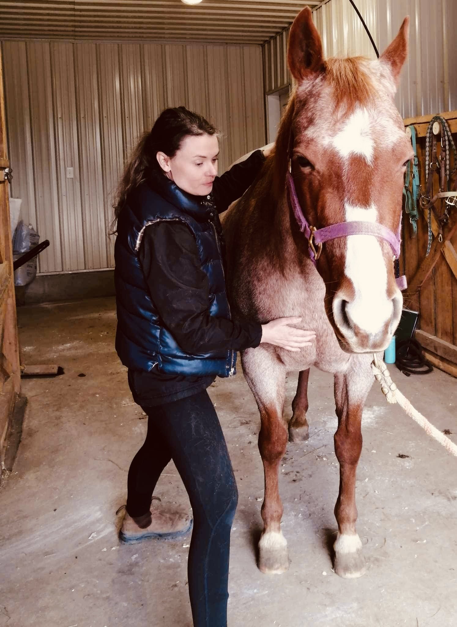 Une femme se prépare à brosser un grand cheval marron dans un box de ferme