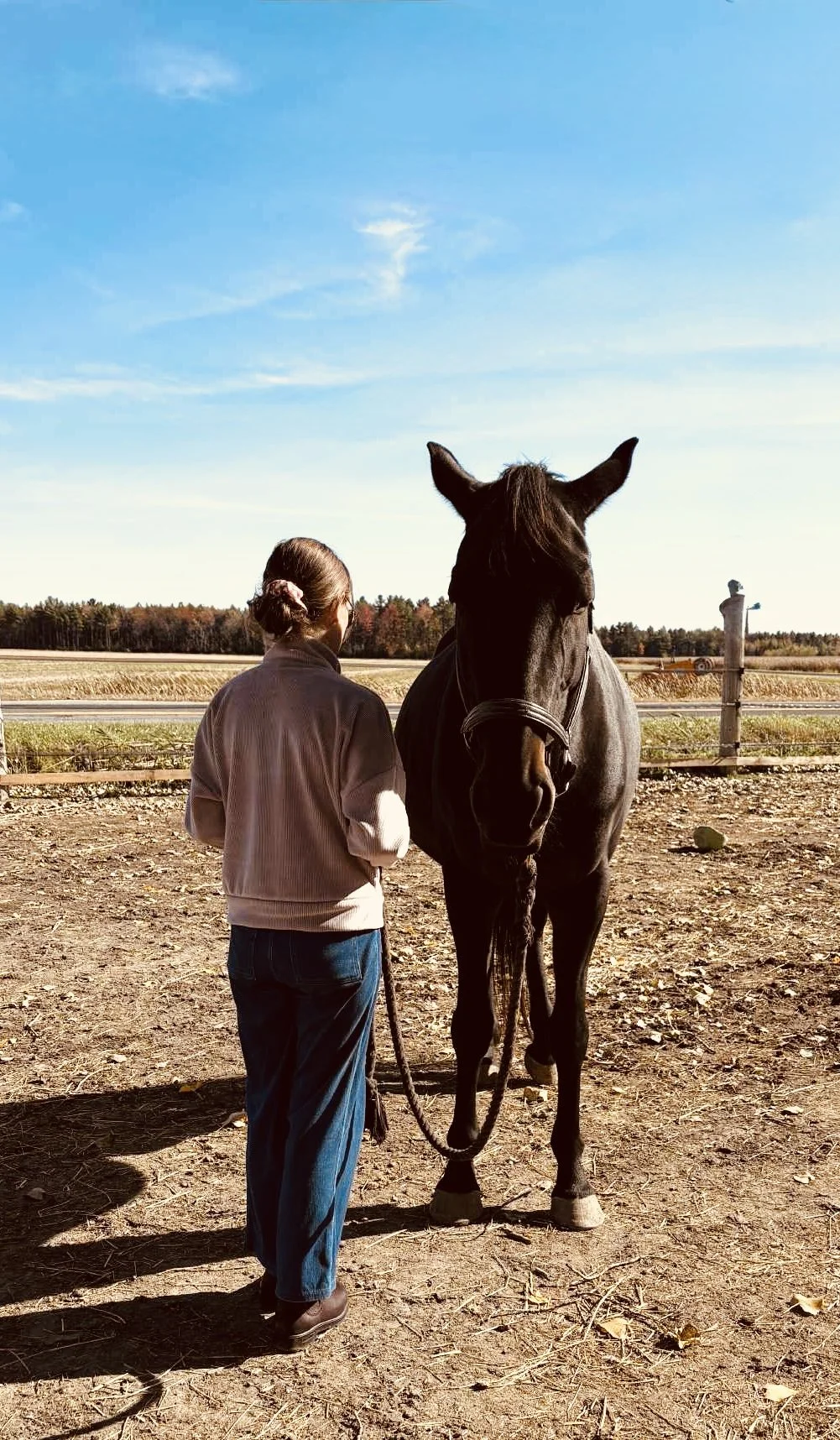Une femme avec un cheval noir dans un enclos en plein air, avec un ciel bleu clair et des champs à l'horizon.
