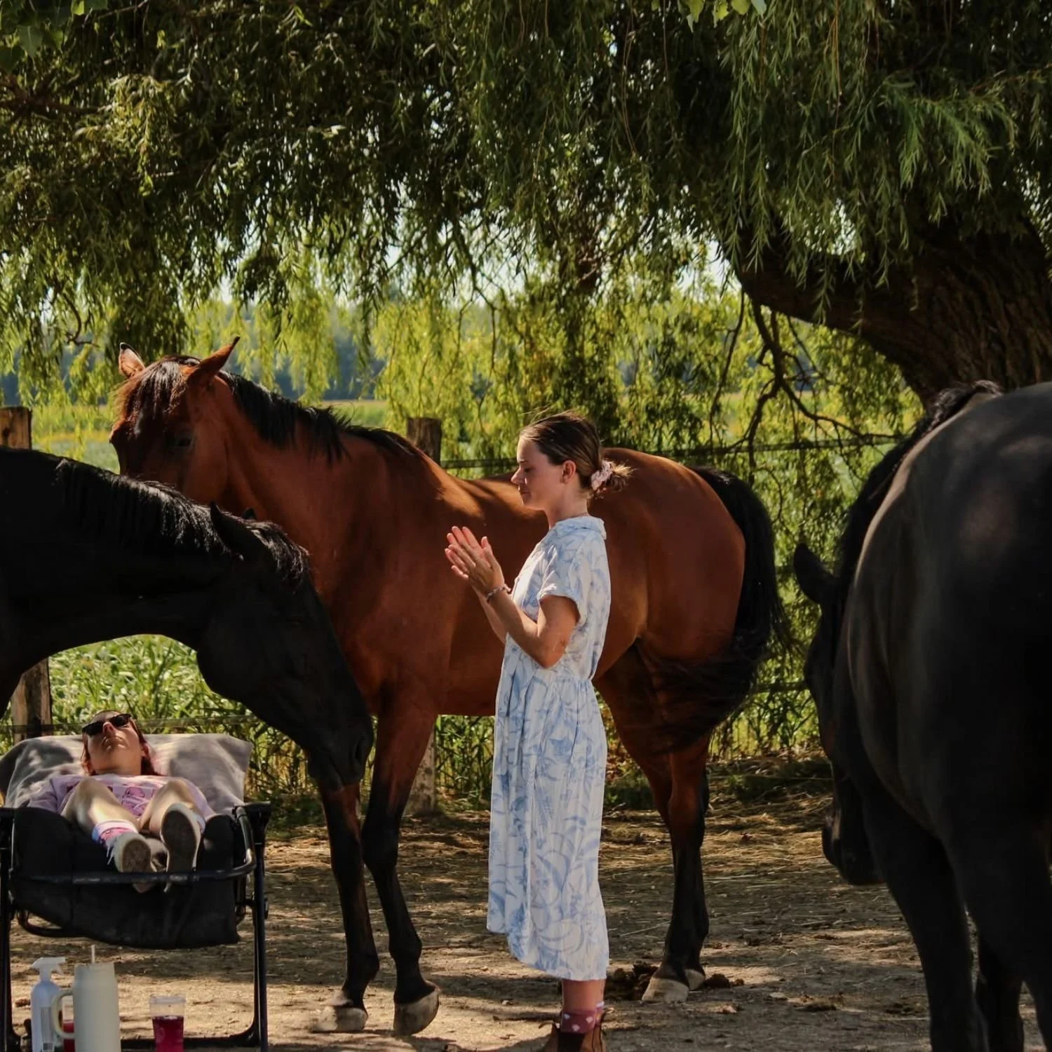 Une femme se tient devant un cheval dans un pré ombragé, une personne allongée dans un lit d'appoint à côté.