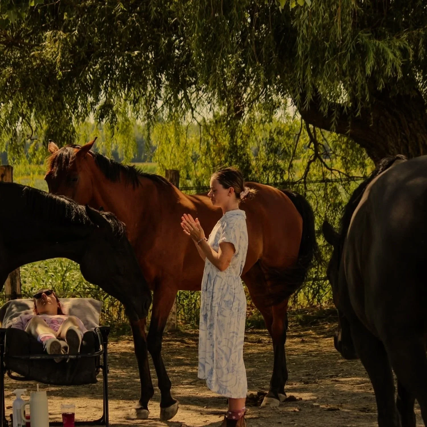 Une jeune femme avec une robe blanche se tient près de deux chevaux, l'un brun et l'autre noir, sous un arbre. Une enfant repose dans une poussette à côté, portant des lunettes de soleil et un pantalon rose.