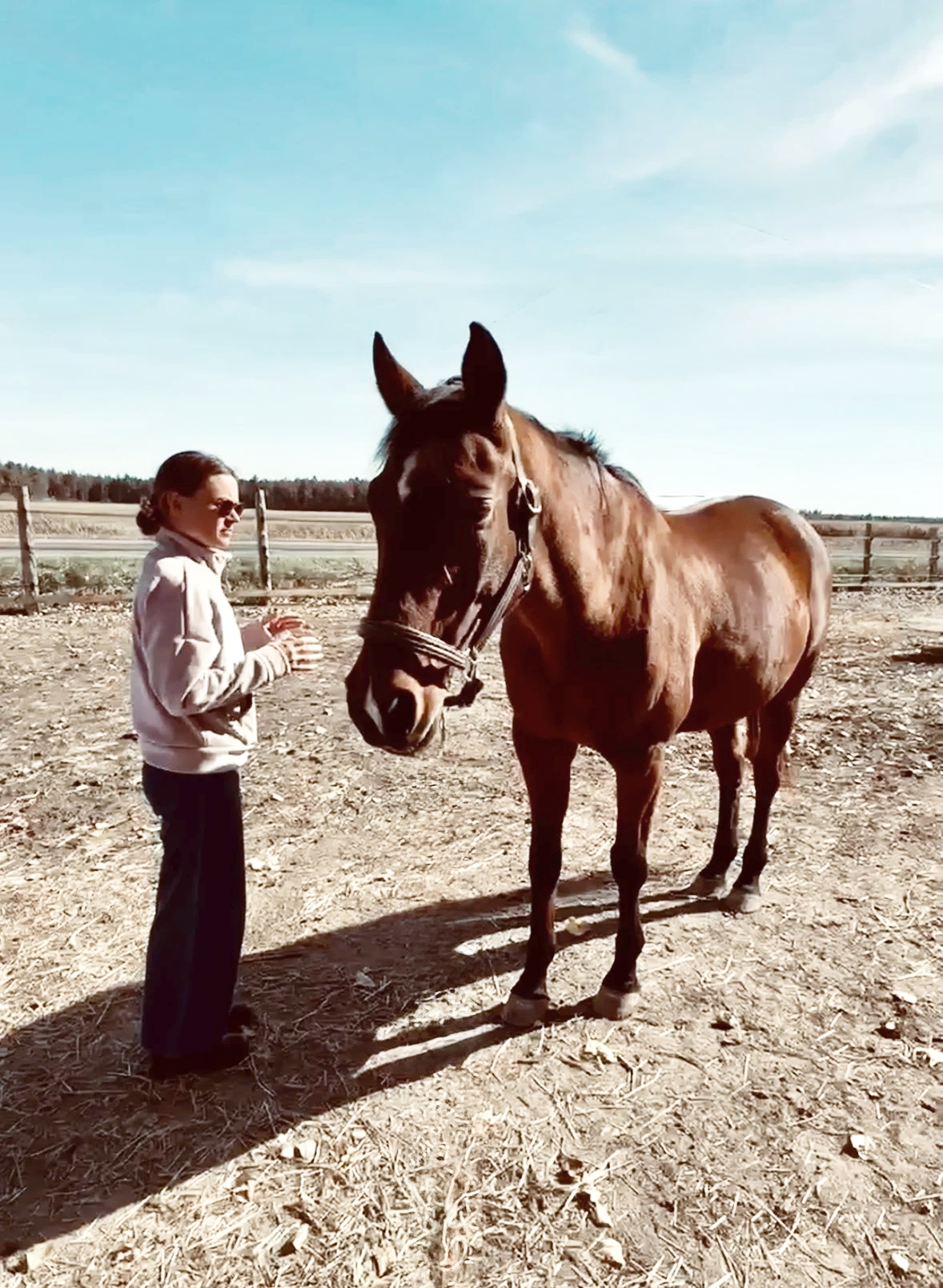 Une femme et un cheval brun dans un enclos en plein air, sous un ciel bleu.