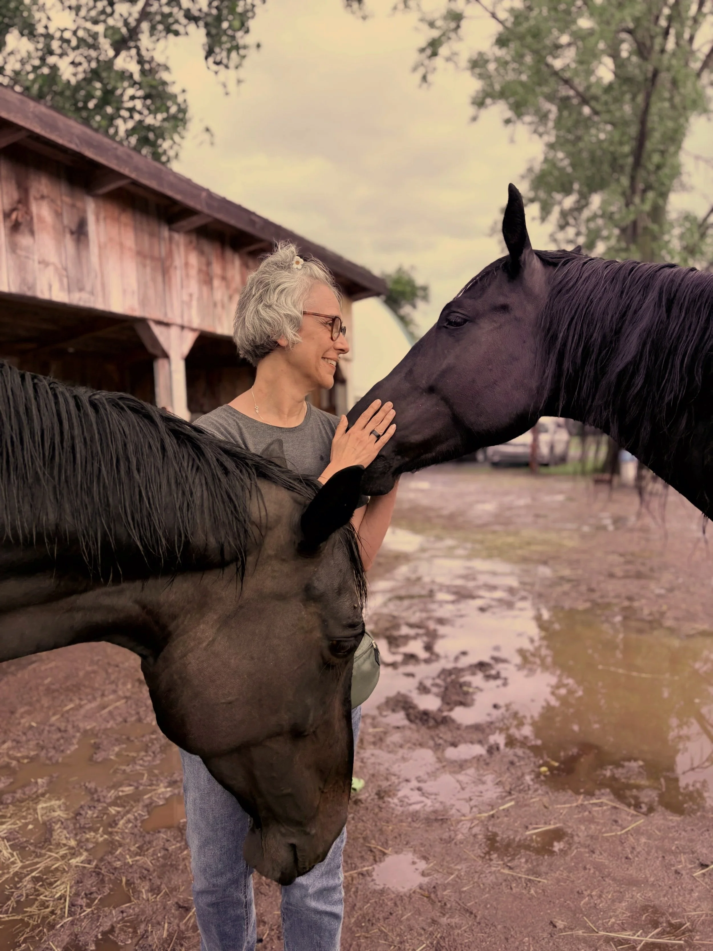 Une femme avec des cheveux gris et des lunettes, souriante, touche deux chevaux noirs dans une ferme, avec un bâtiment en bois et des arbres en arrière-plan.