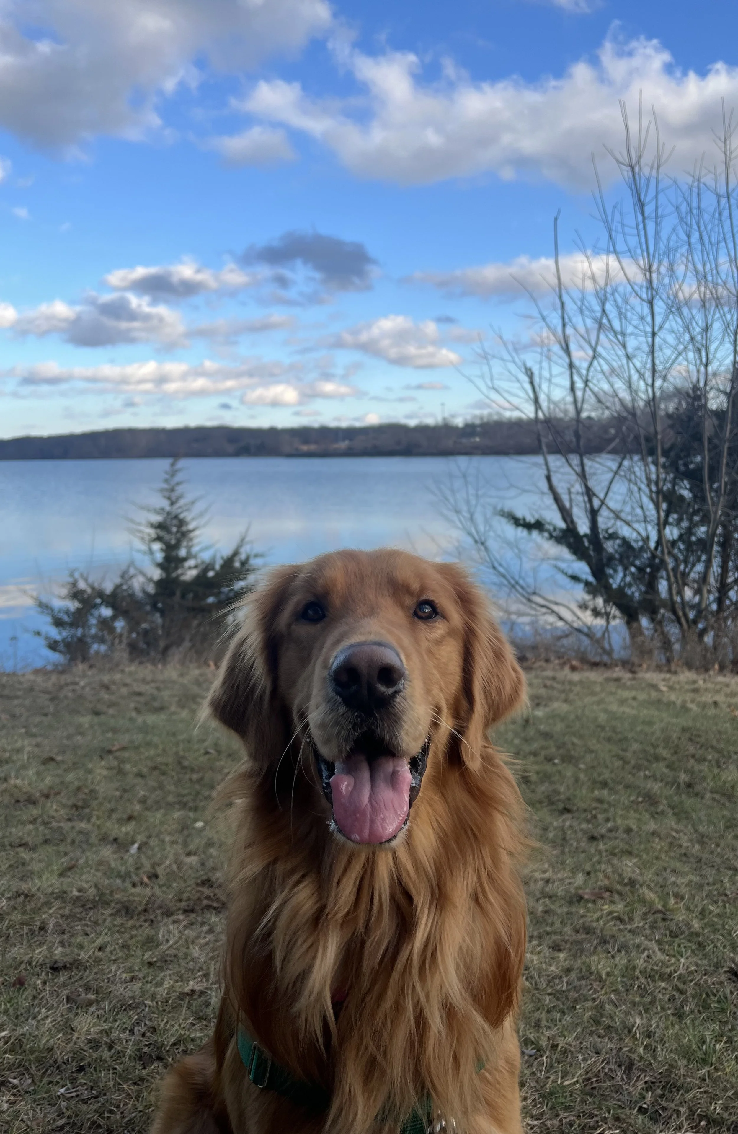 Lenny B.jpg