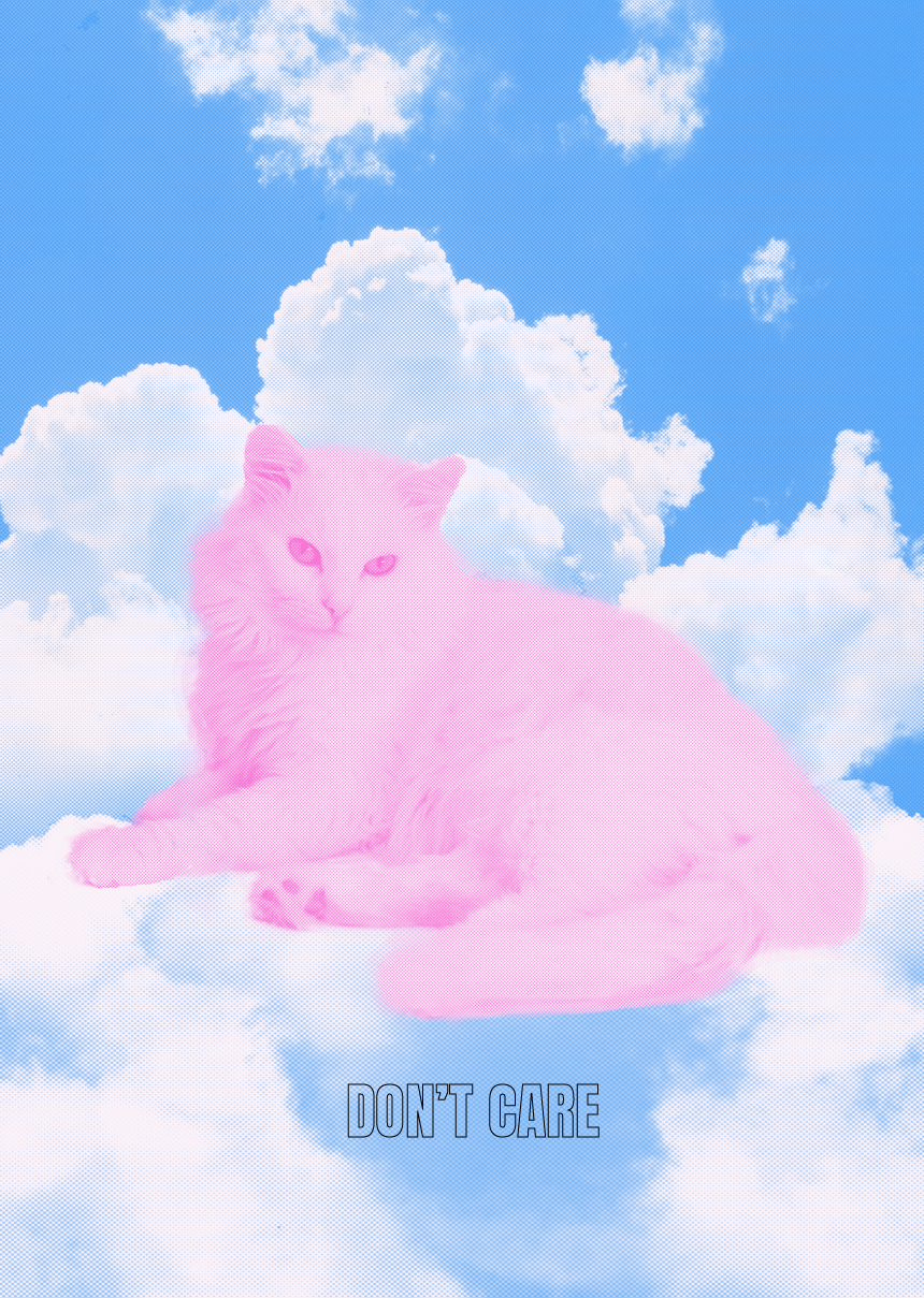 CAT DON'T CARE-01.png