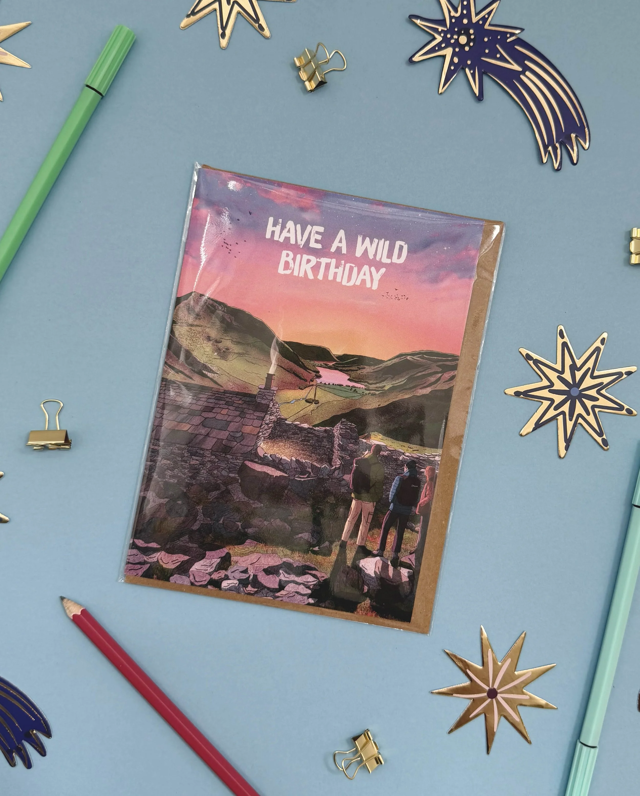 wild birthday packaged copy.jpg