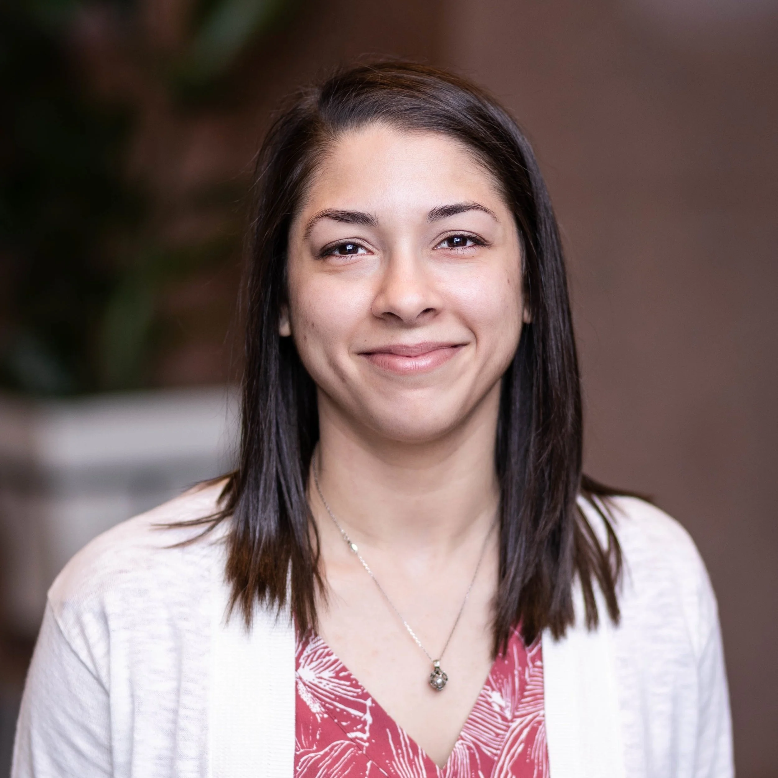 TEAM — Armor Investment Advisors