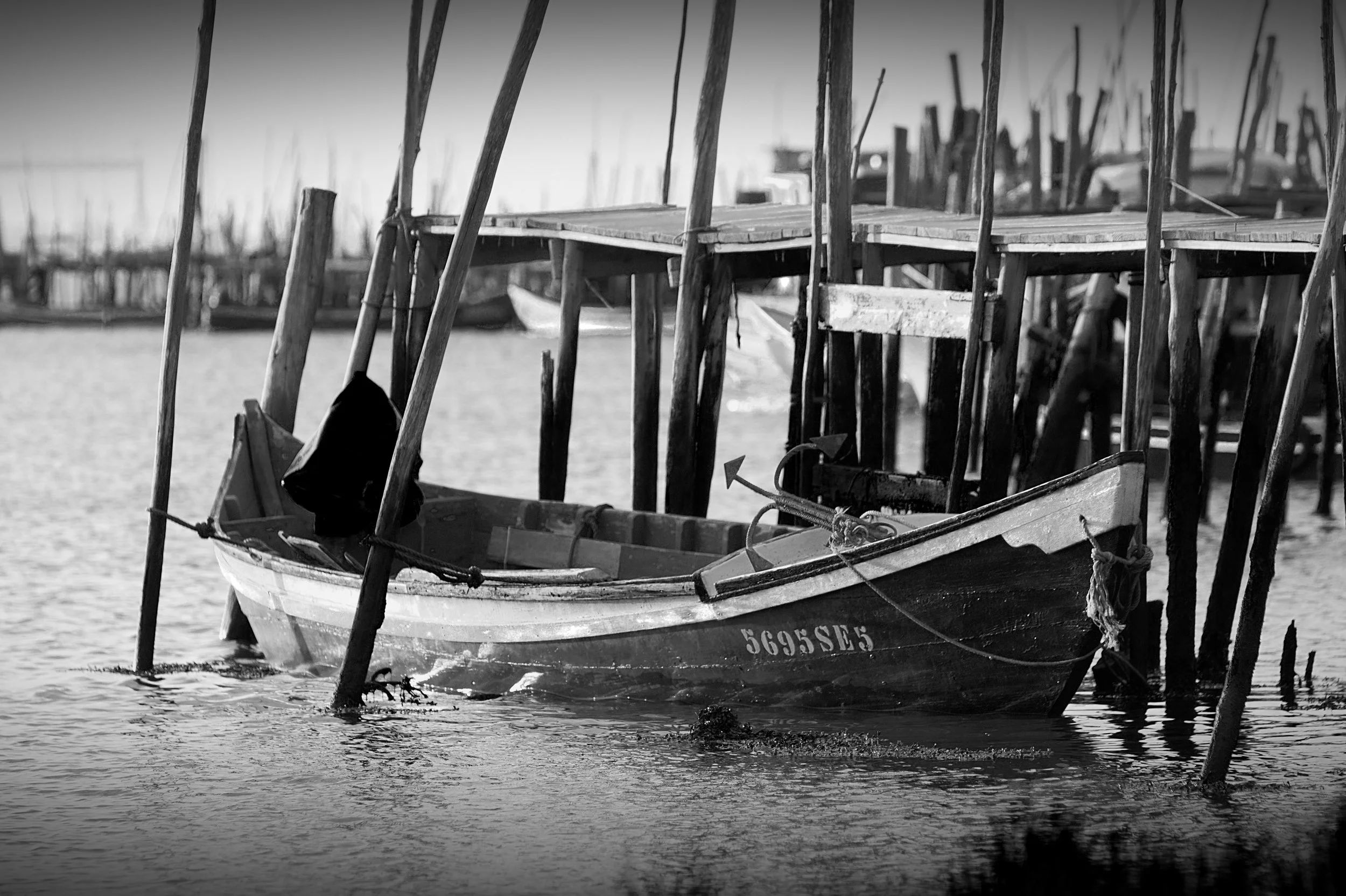 Aiola de Pesca (B:W).jpg