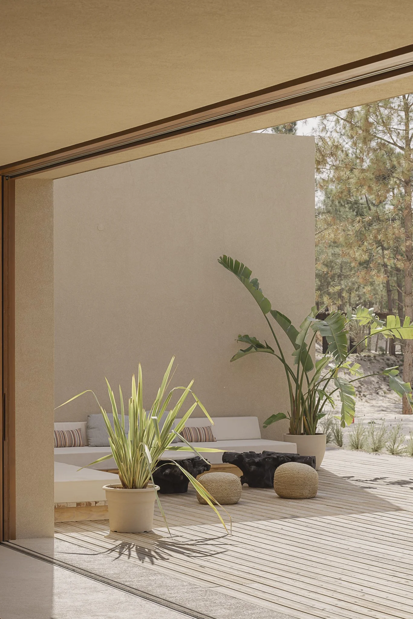 Outdoor patio with large potted plants, a white seating area, and tree views in the background.
