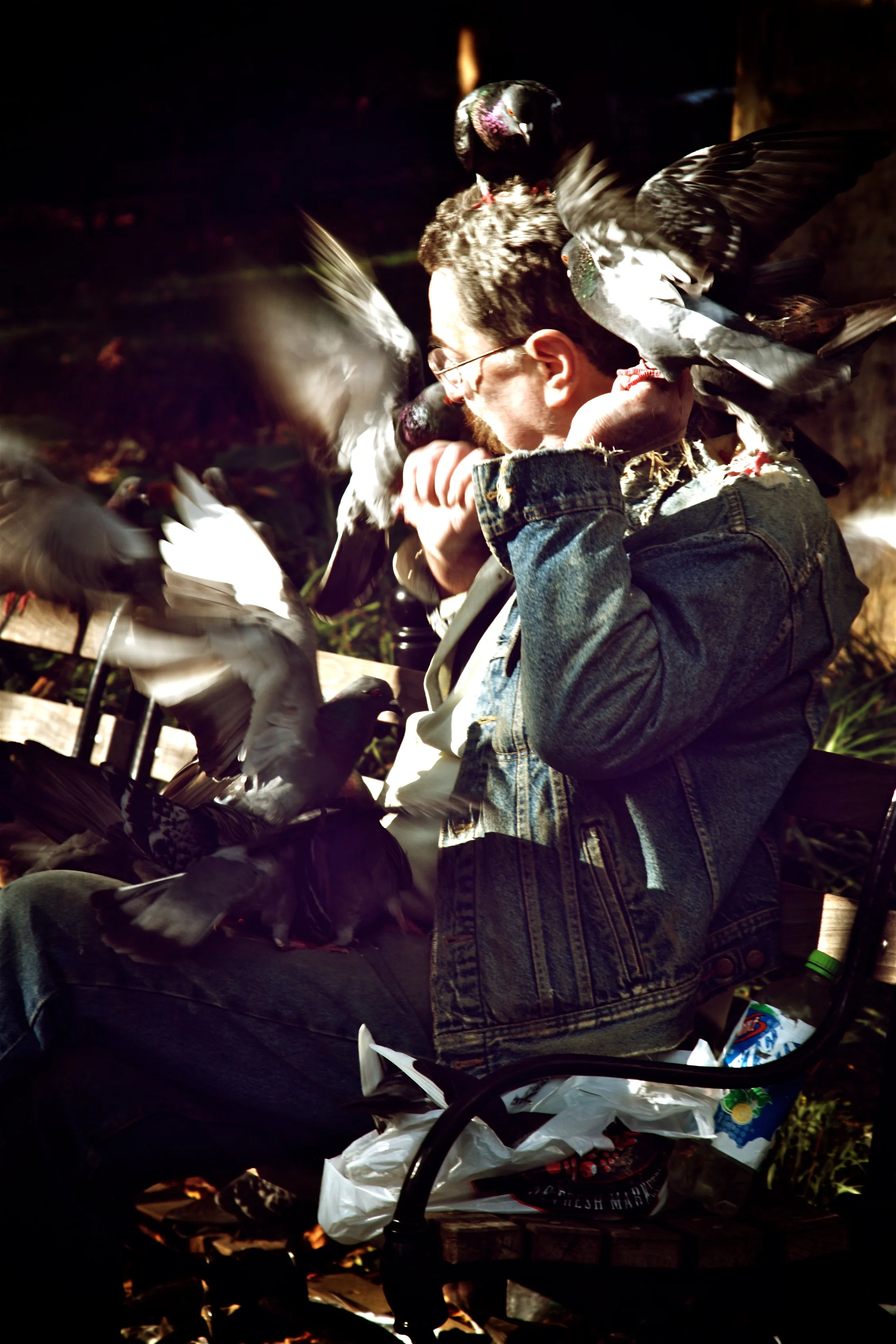 A man sitting on a park bench surrounded by pigeons, some perched on his head and shoulders, with one pecking at his face.