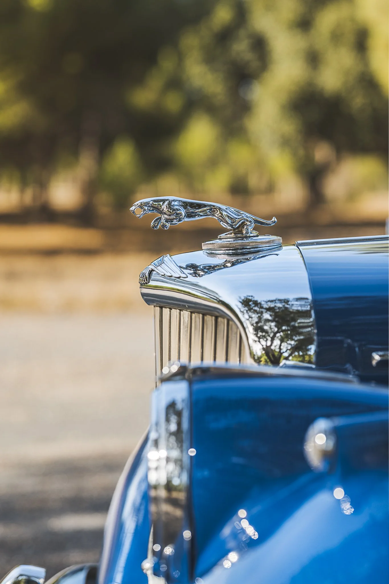 Jaguar MK 5.0 (interclassico)-35.jpg