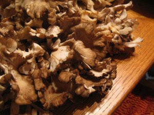 An Herbalist’s Remembrance of the 2011 Storms