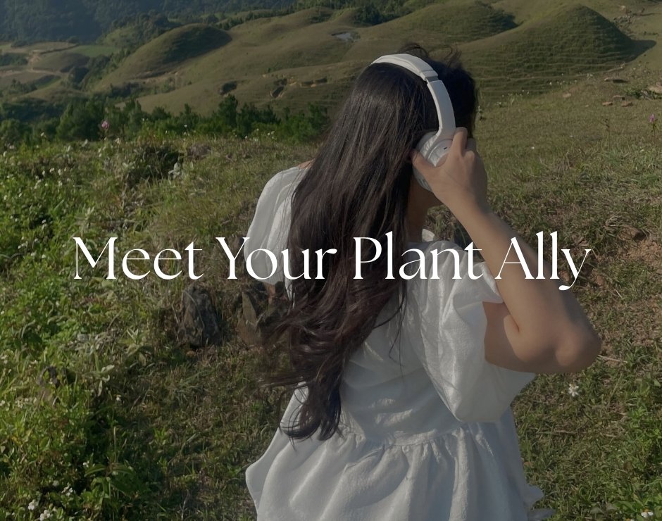 Meet Your Plant Ally