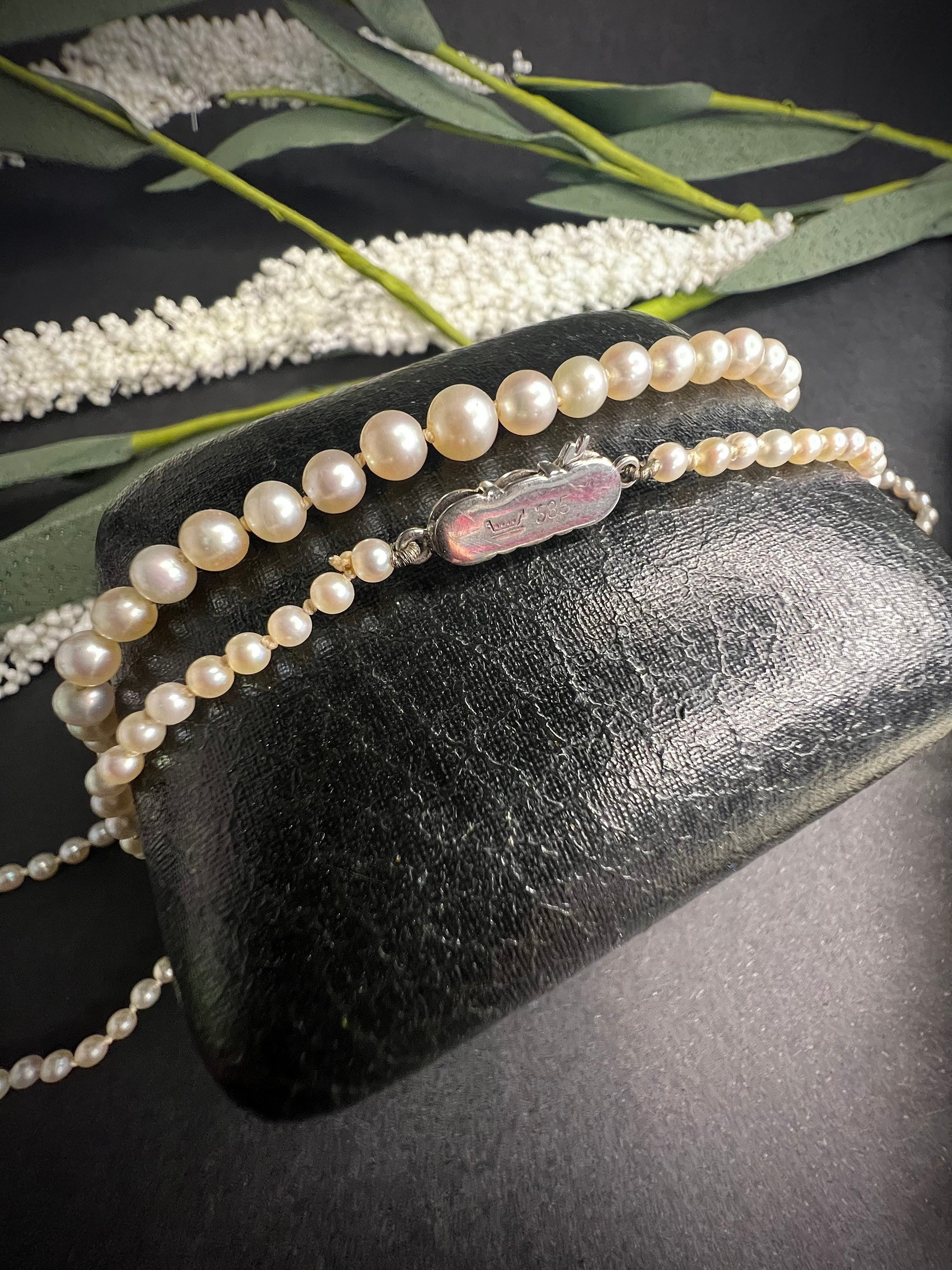 https://i.etsystatic.com/25202198/r/il/137d2d/3820026071/il_fullxfull.3820026071_26q9.jpg