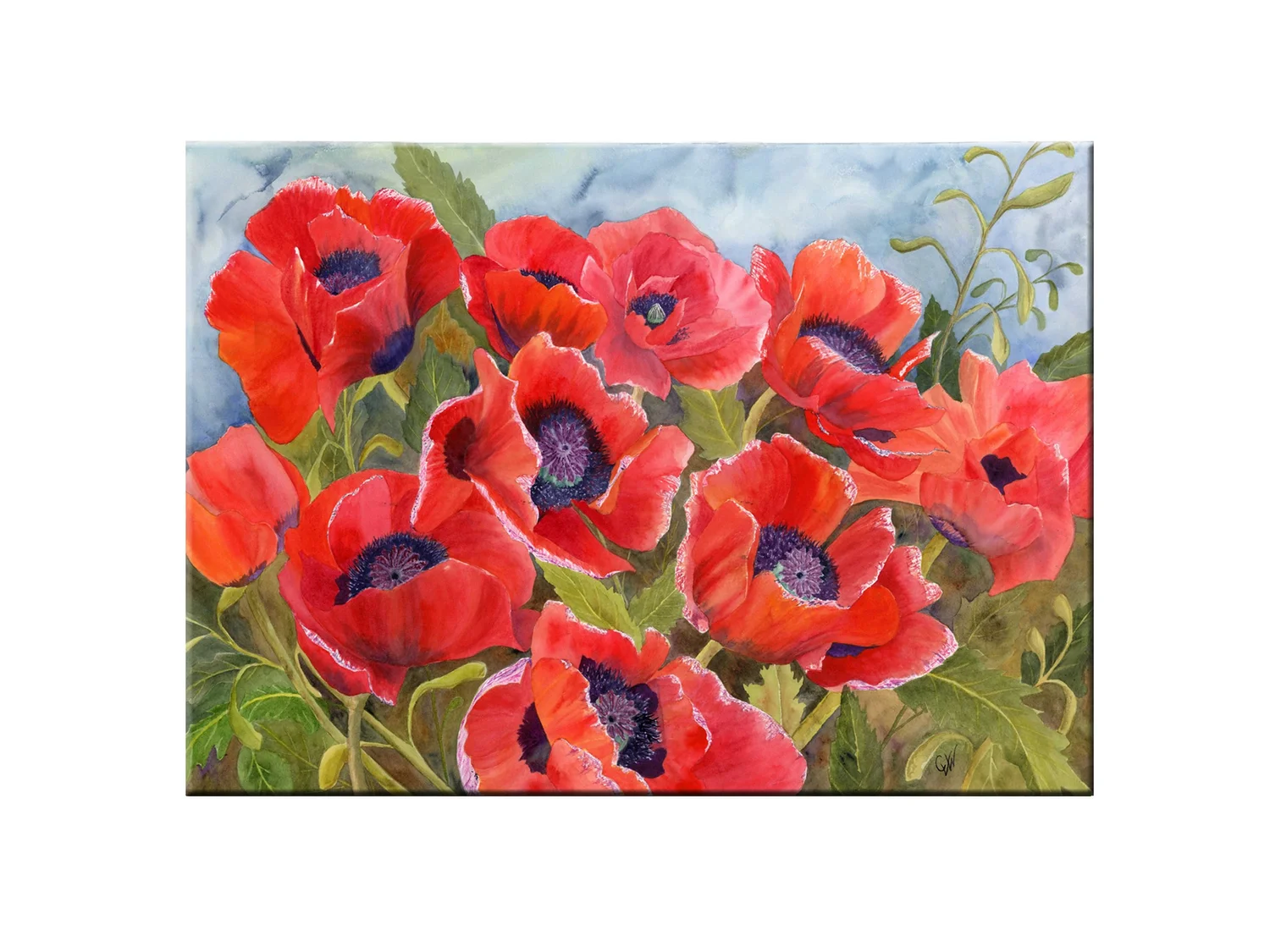 Poppy Bonanza.jpg