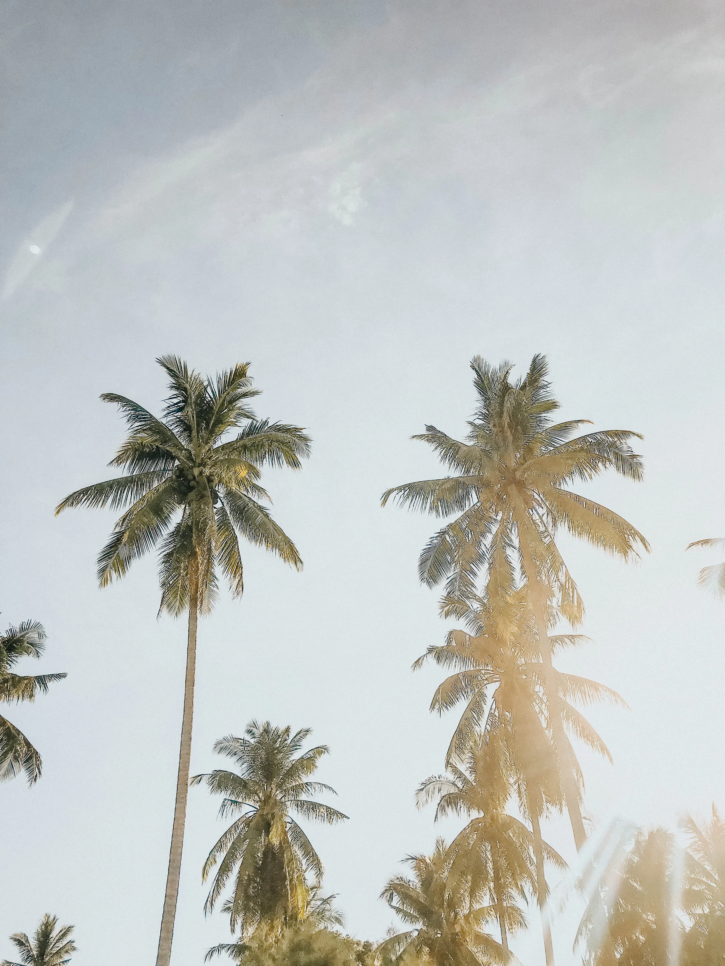 Sarah n nathan!!-2.jpg