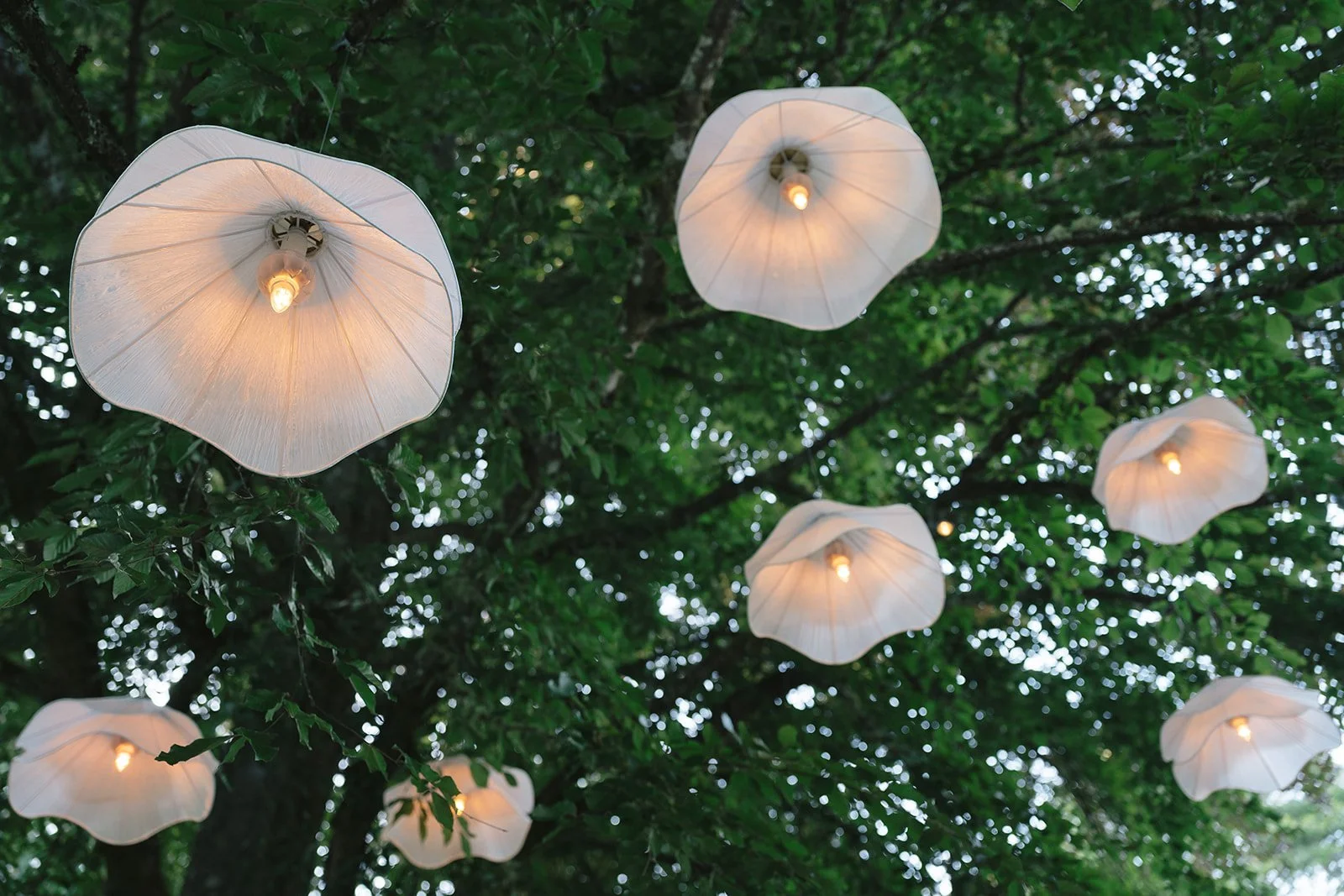 KathrynNoah_BloedelReserveWedding_0784.jpg