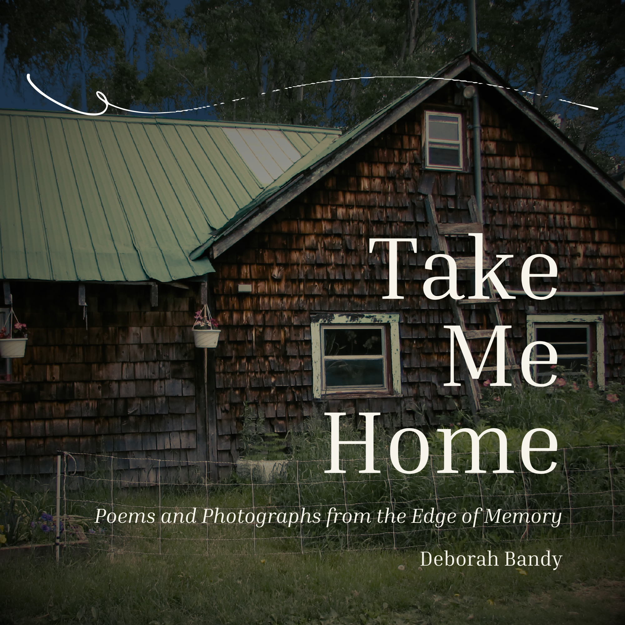 Removable Dust Cover - Front.png