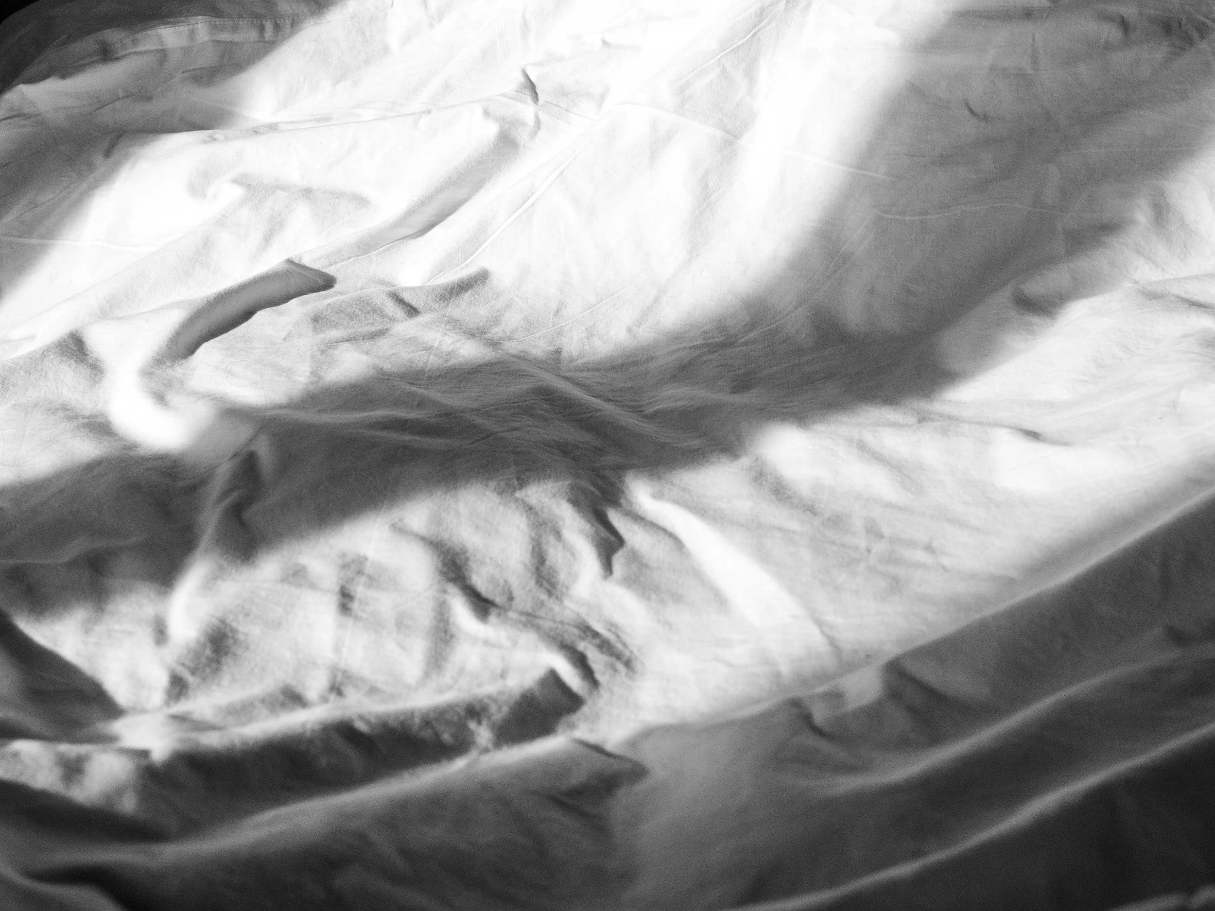 L1004532_1.jpg