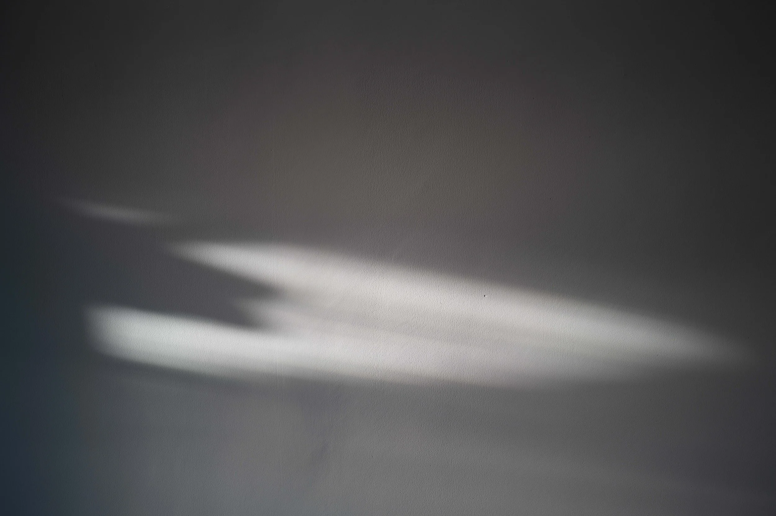 L1003910_1.jpg