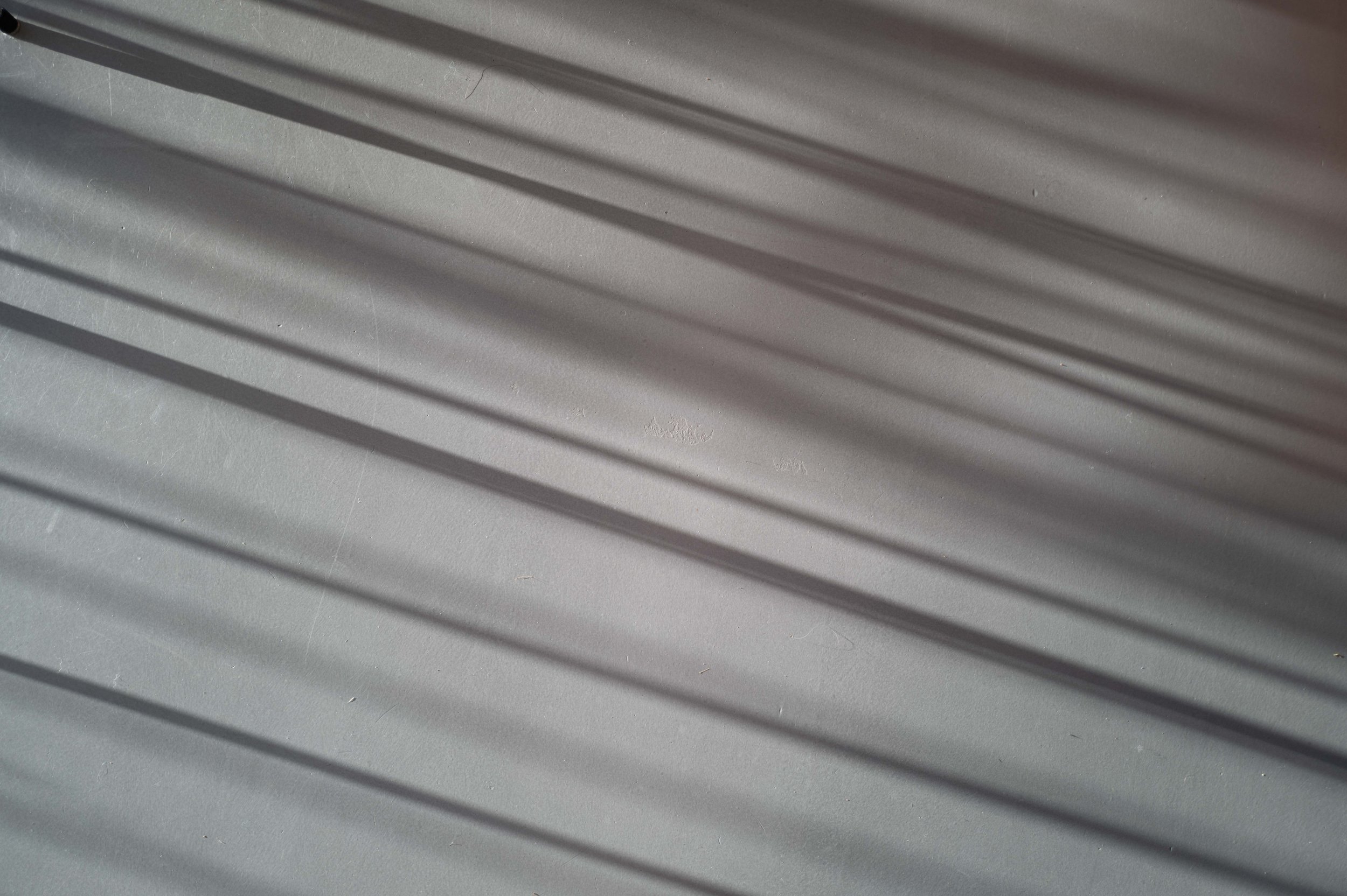 L1003901_1.jpg